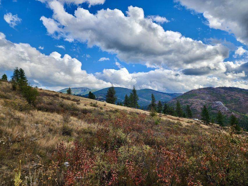 140 Lambert Mountain Rd, Republic, WA 99166-0000
