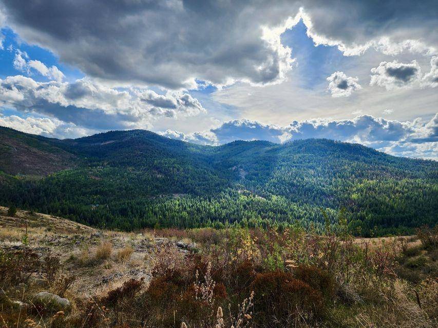140 Lambert Mountain Rd, Republic, WA 99166-0000