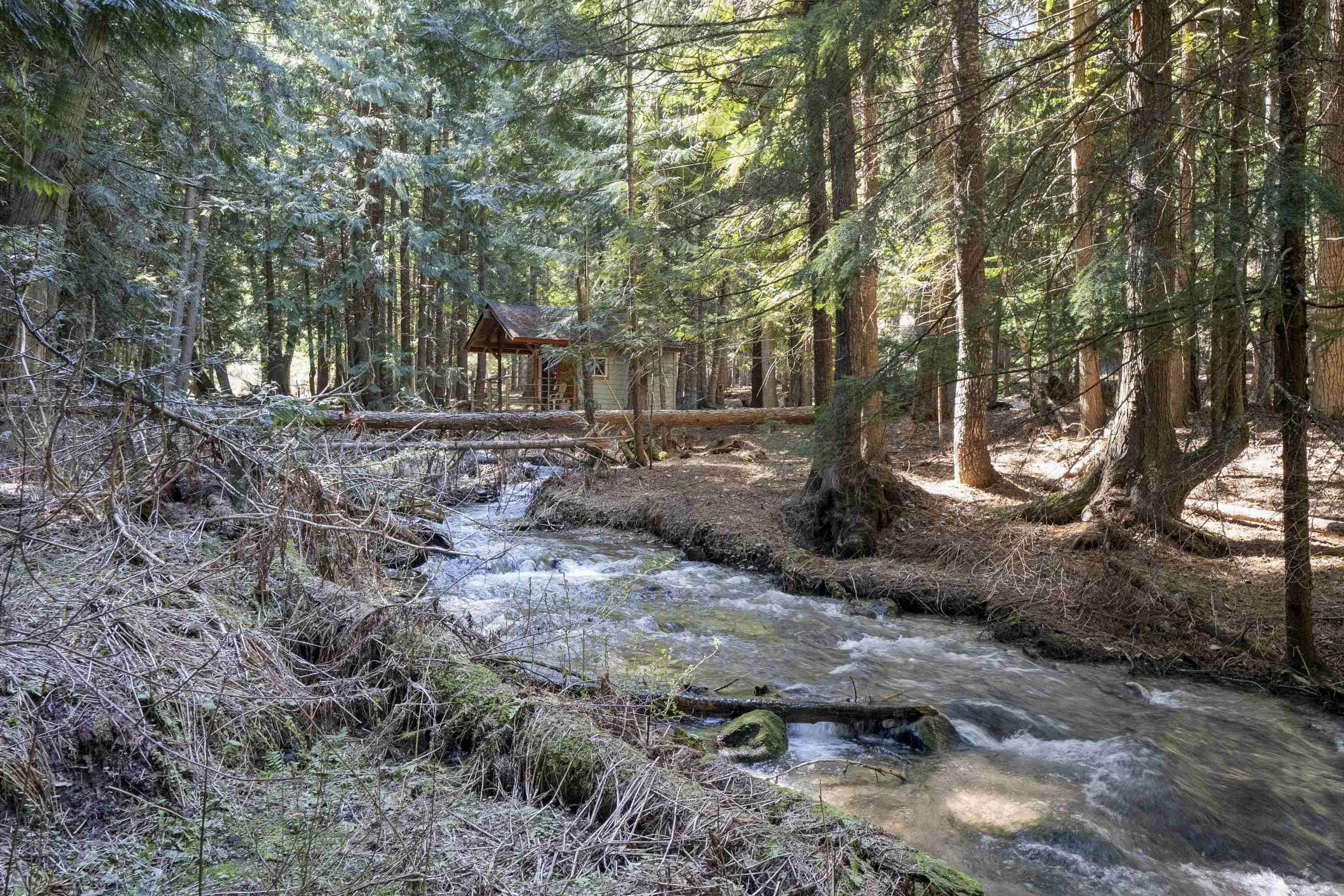 341xx N Blanchard Creek Rd #59344.9025, Elk, WA 99009
