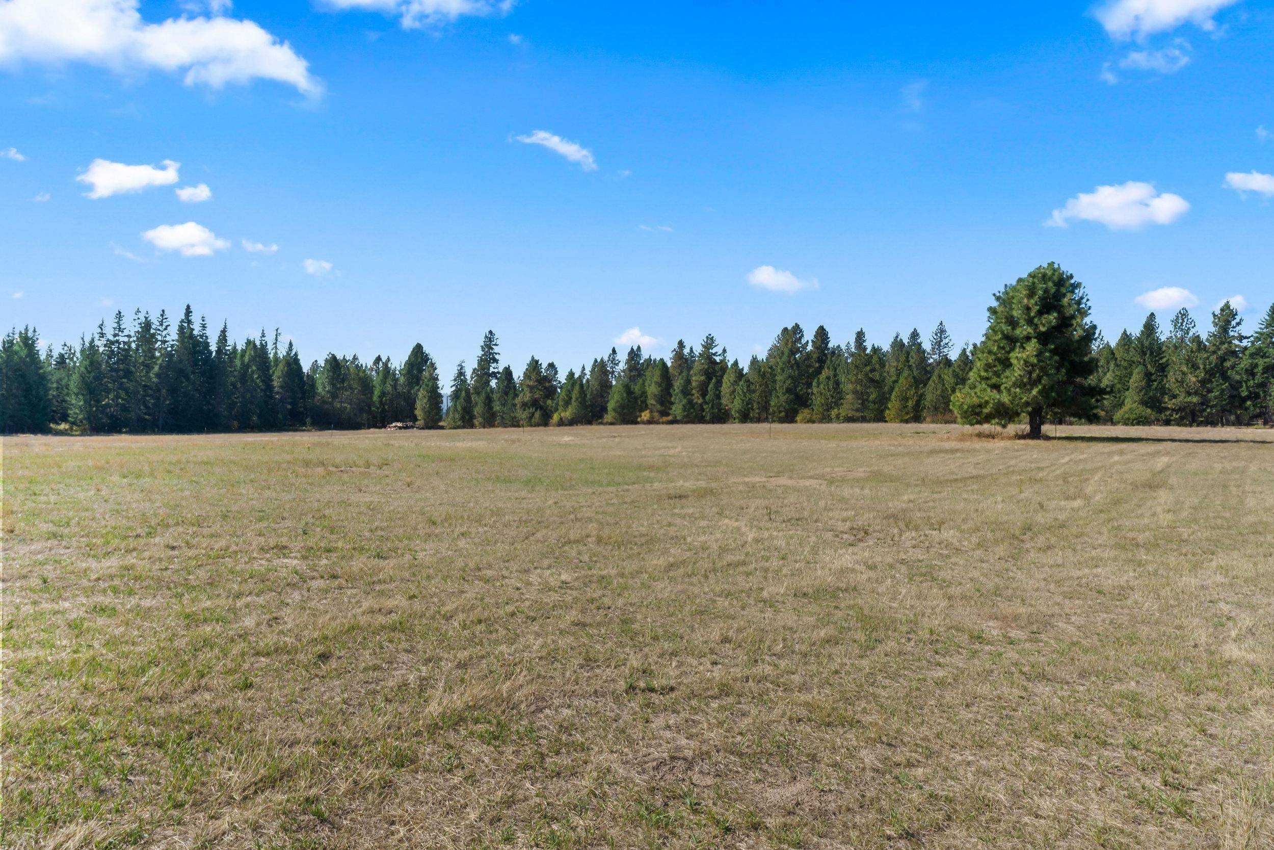 350 Brook Dr, Elk, WA 99009