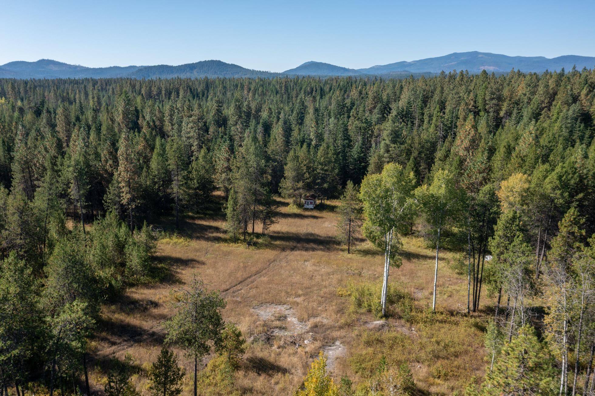 54 Lenora Dr, Usk, WA 99180