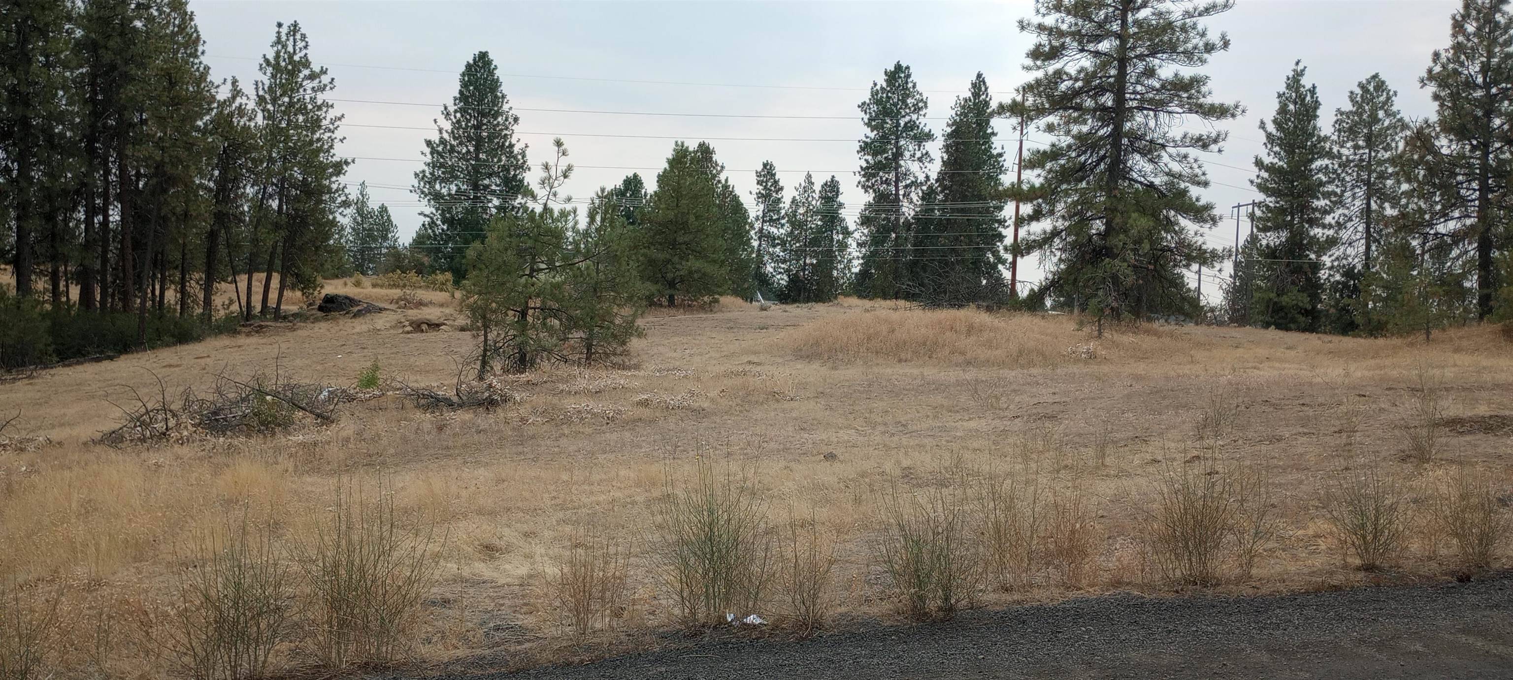 TBD W 28th Ave, Spokane, WA 99224