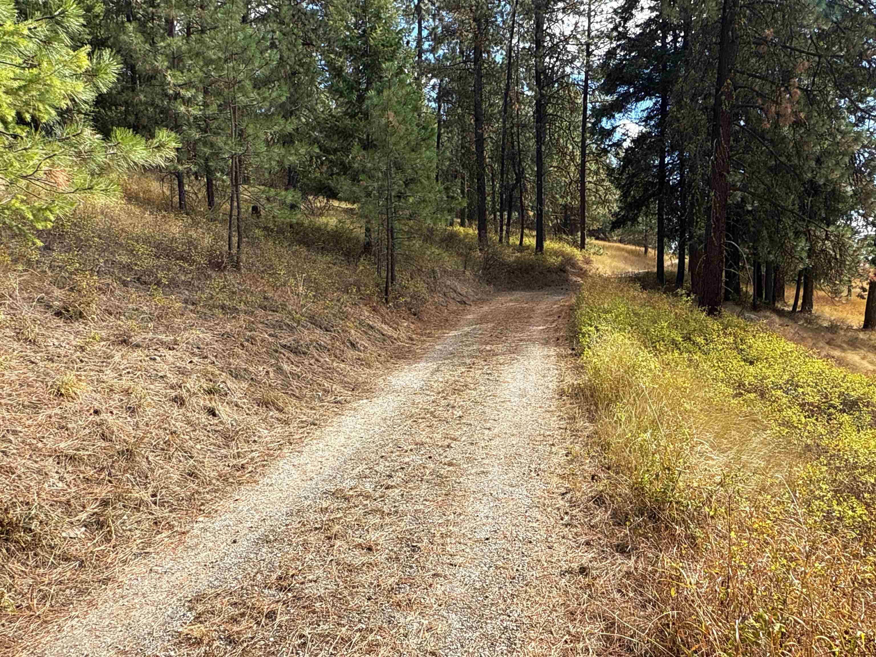 755 Conrad Hill WAY, Colville, WA 99114