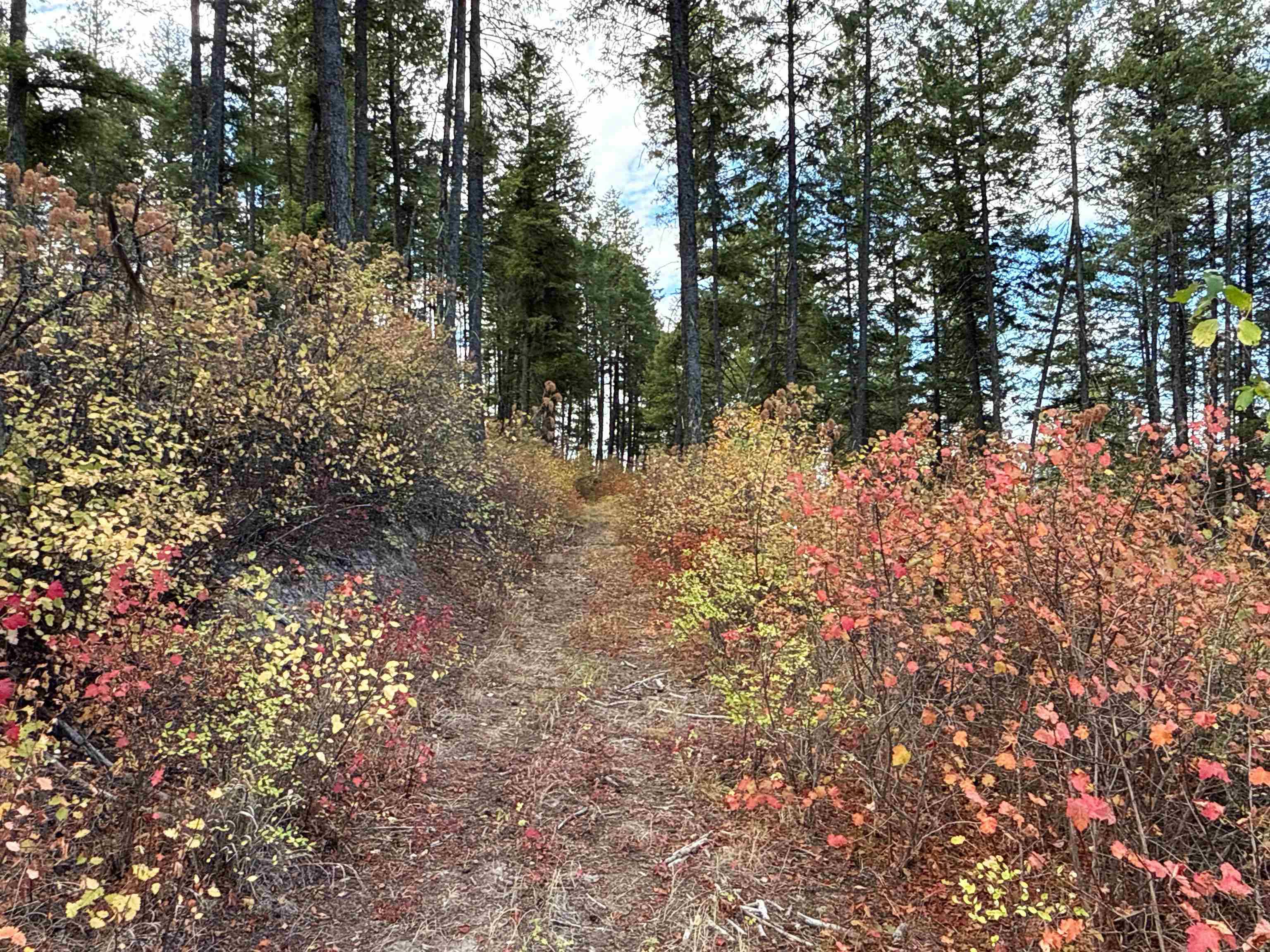 755 Conrad Hill WAY, Colville, WA 99114