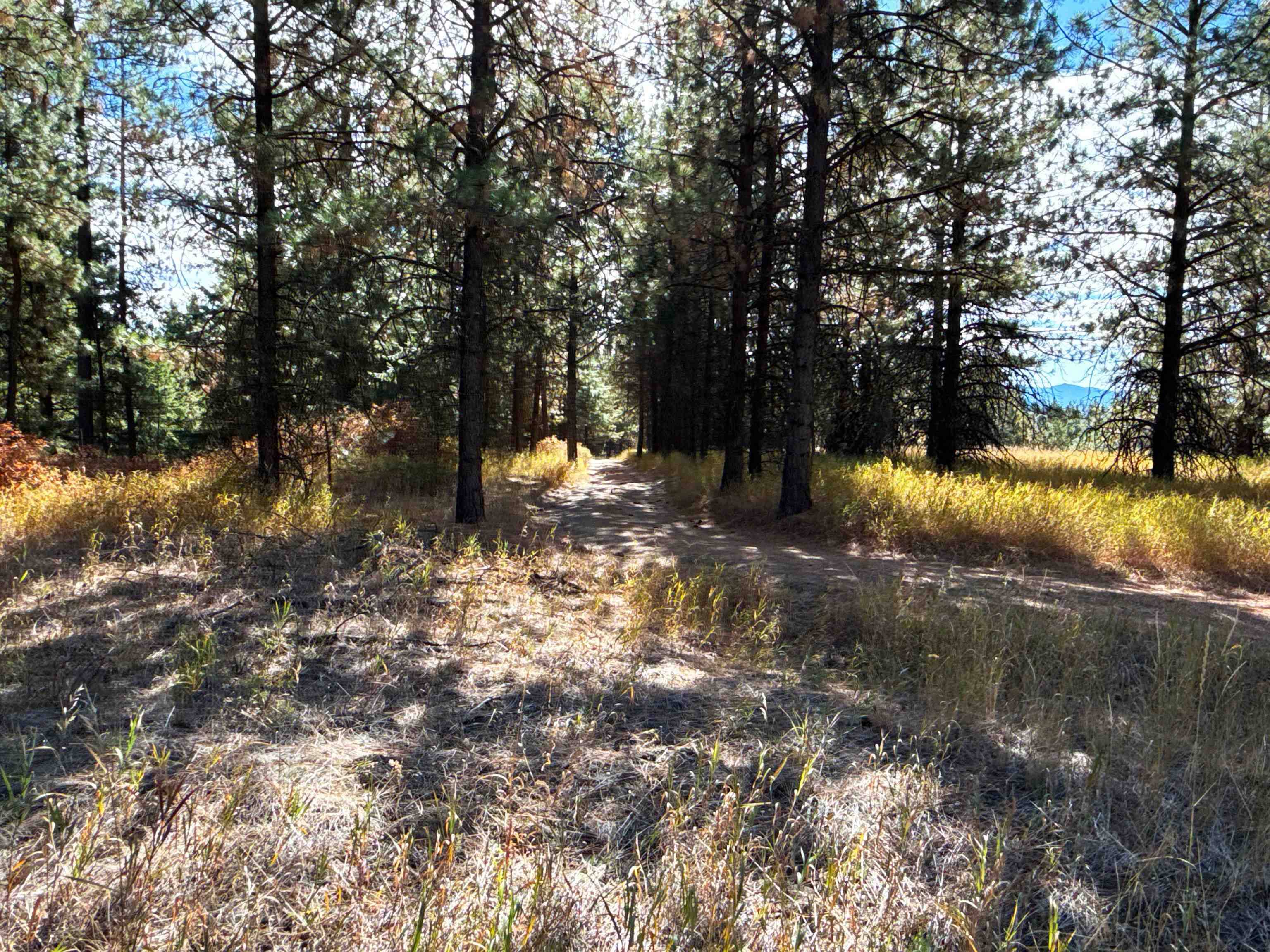 755 Conrad Hill WAY, Colville, WA 99114