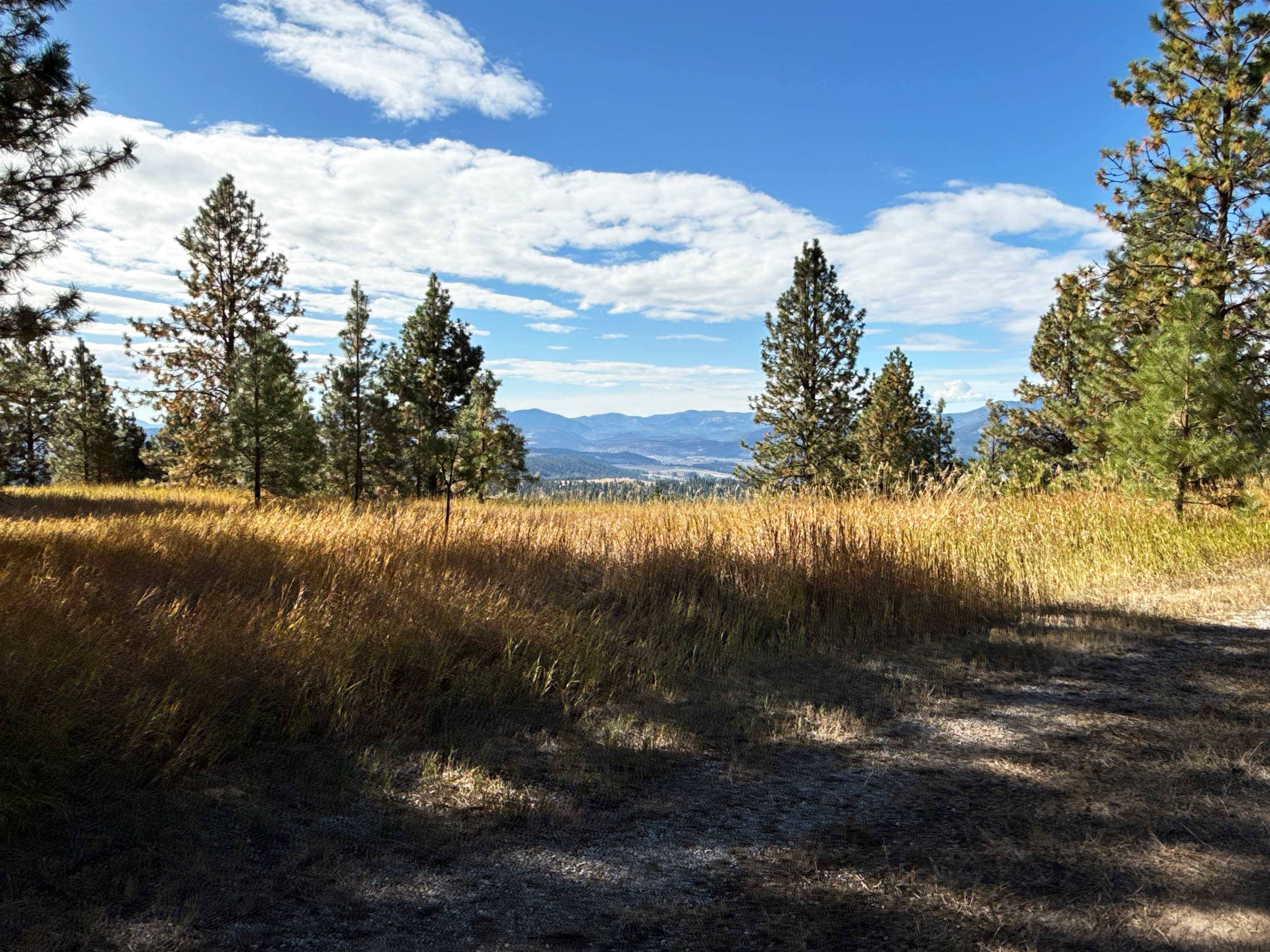 755 Conrad Hill WAY, Colville, WA 99114