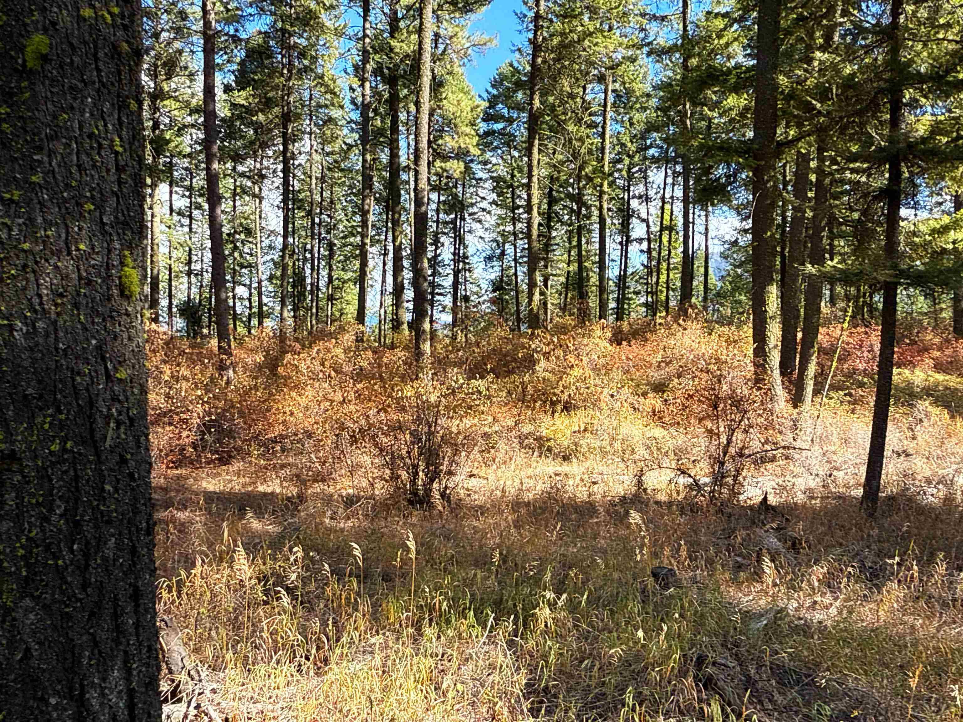 755 Conrad Hill WAY, Colville, WA 99114