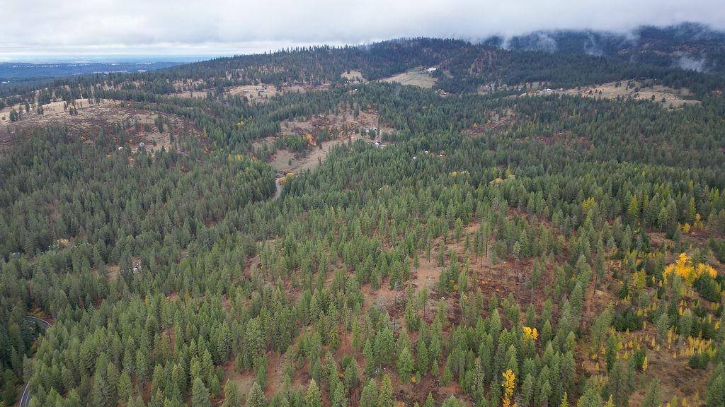 0 N Mt Carlton APN 47131.9081 Rd, Mead, WA 99021