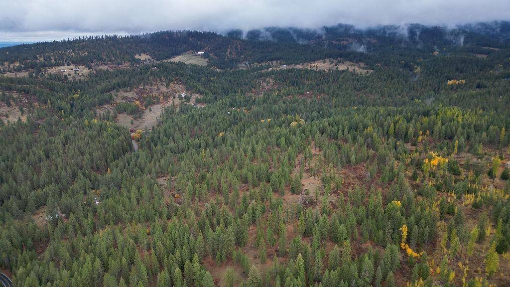 0 N Mt Carlton APN 47131.9081 Rd, Mead, WA 99021