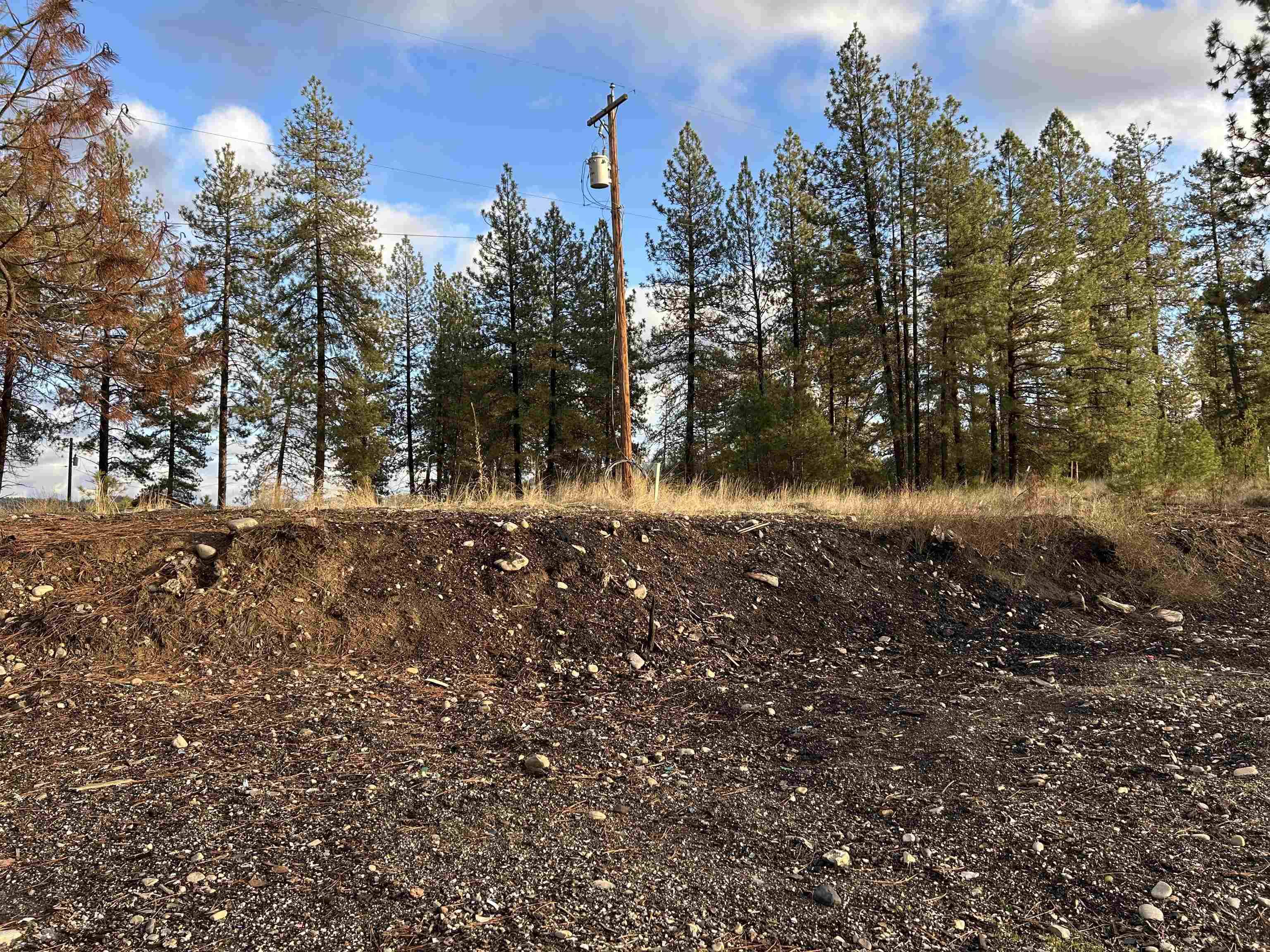 4256 Hwy 231, Springdale, WA 99173