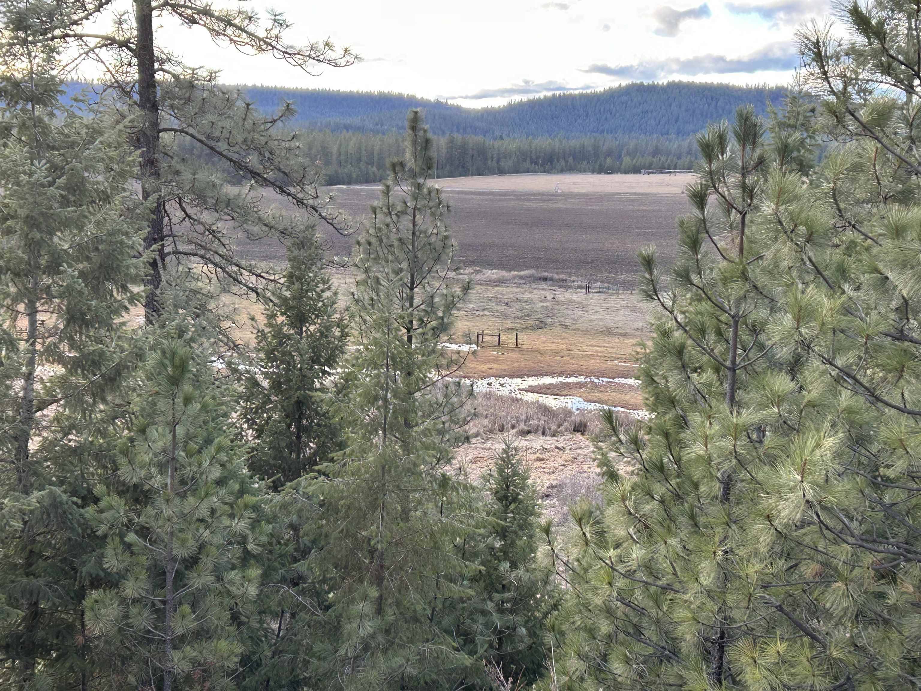 4256 Hwy 231, Springdale, WA 99173