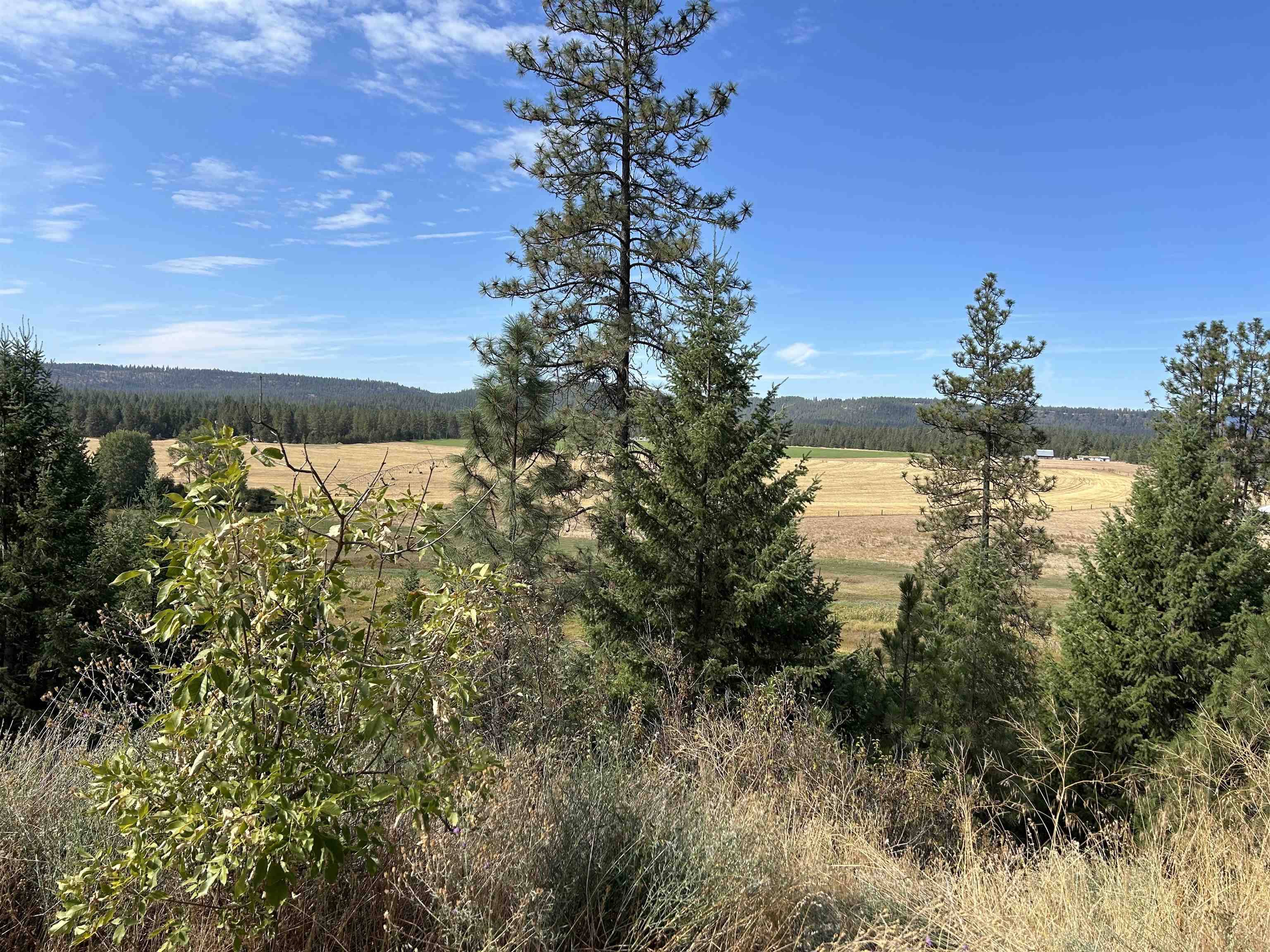 4256 Hwy 231, Springdale, WA 99173