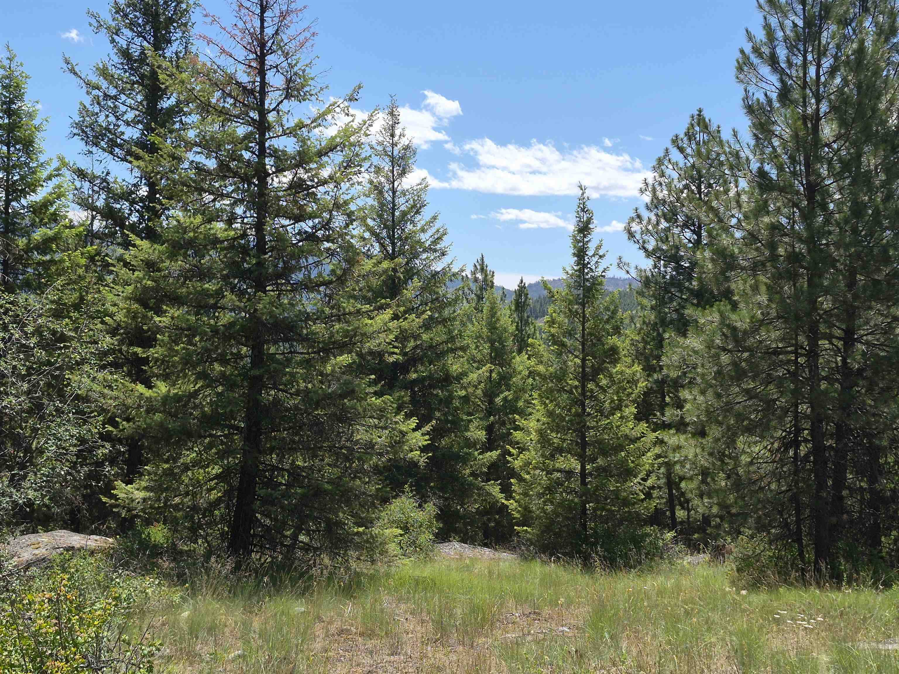 2094 Clugston Onion Creek Rd #BB & P, Colville, WA 99114