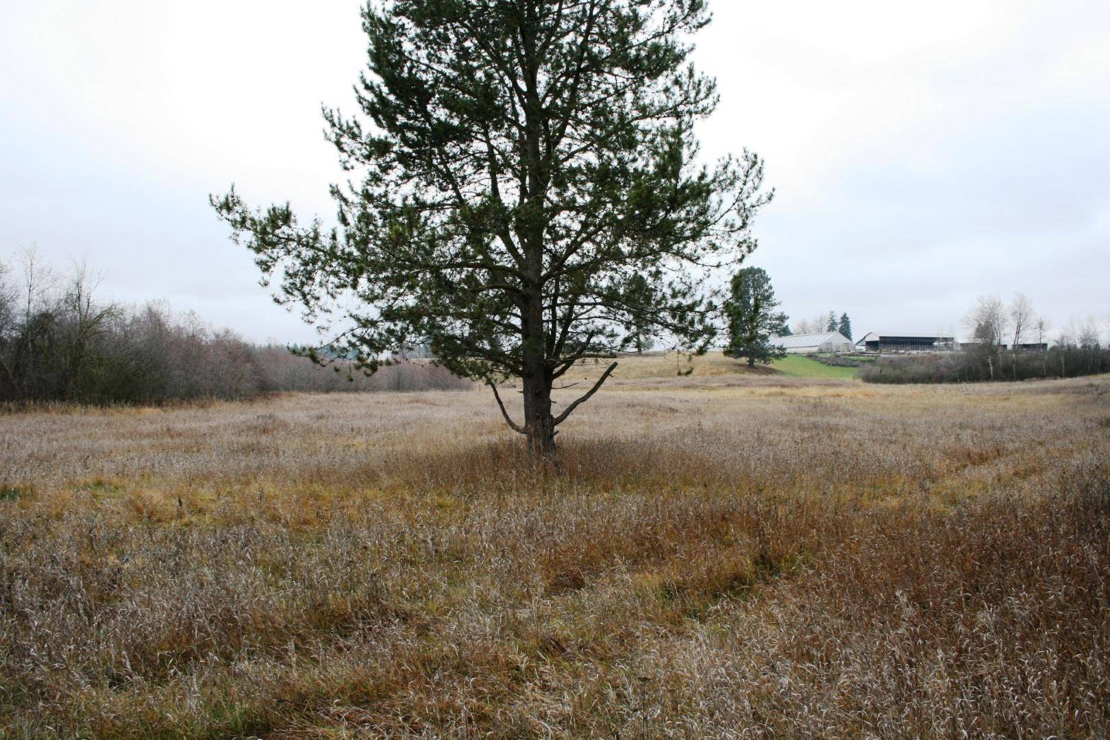 00 Dahl Lot 7 Rd #Lot 7, Deer Park, WA 99006