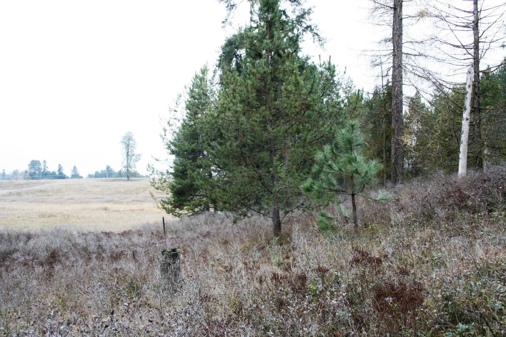 00 Dahl Lot 7 Rd #Lot 7, Deer Park, WA 99006