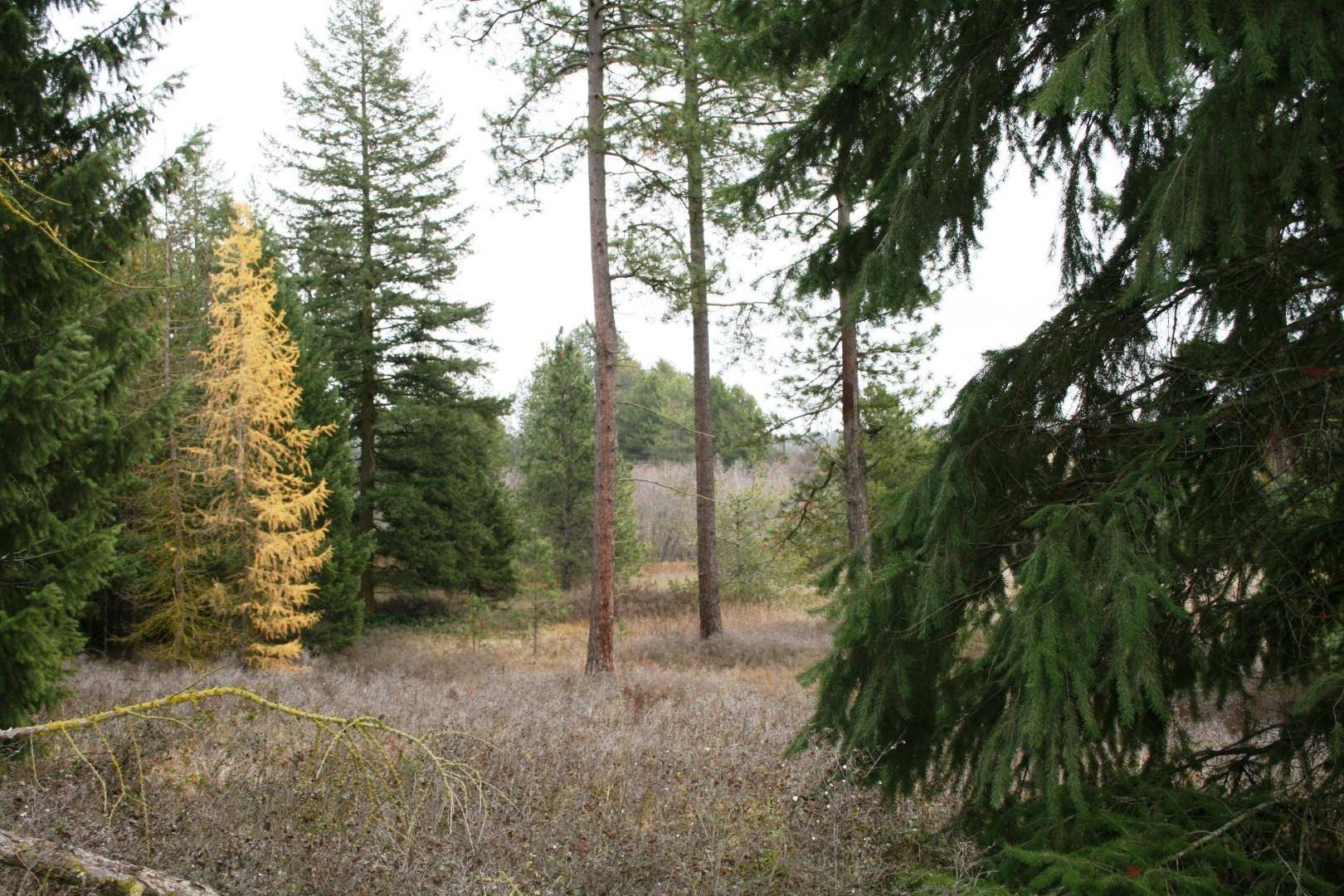 00 Dahl Lot 7 Rd #Lot 7, Deer Park, WA 99006