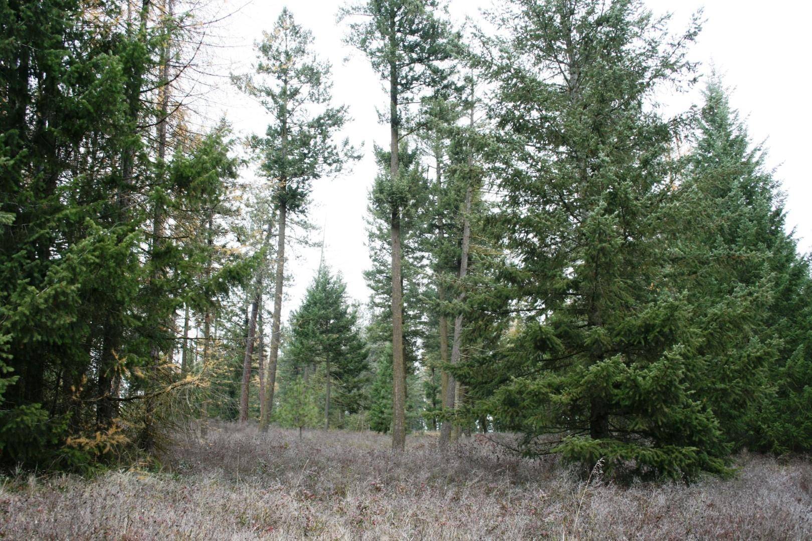 00 Dahl Lot 7 Rd #Lot 7, Deer Park, WA 99006