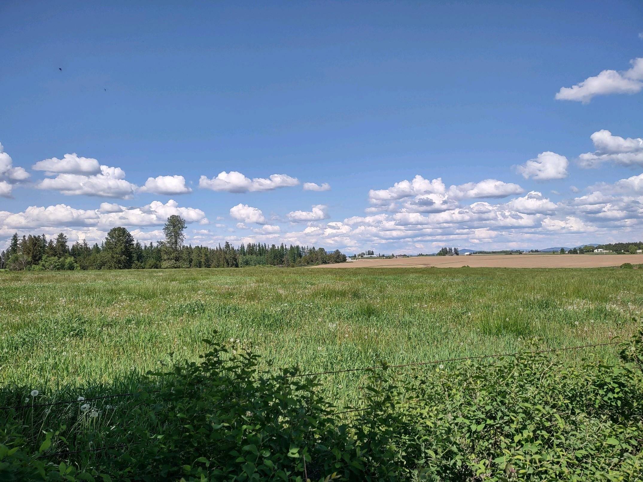 00 Dahl Lot 9 Rd, Deer Park, WA 99006