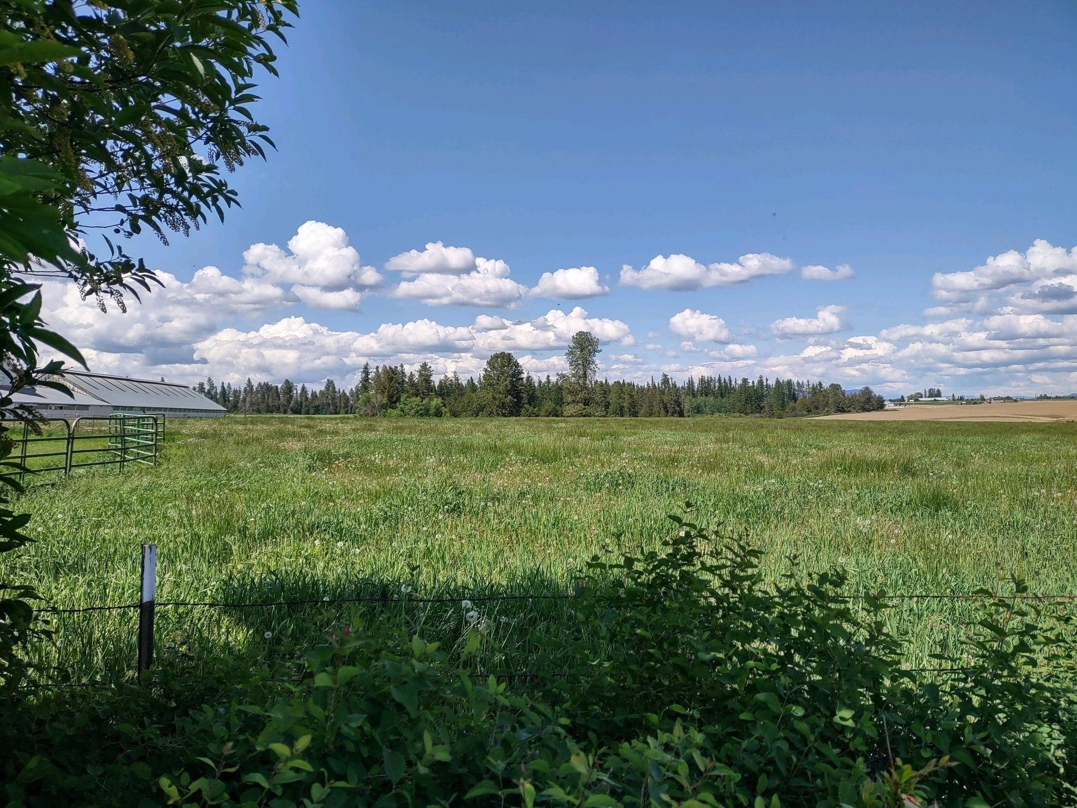 00 Dahl Lot 9 Rd, Deer Park, WA 99006