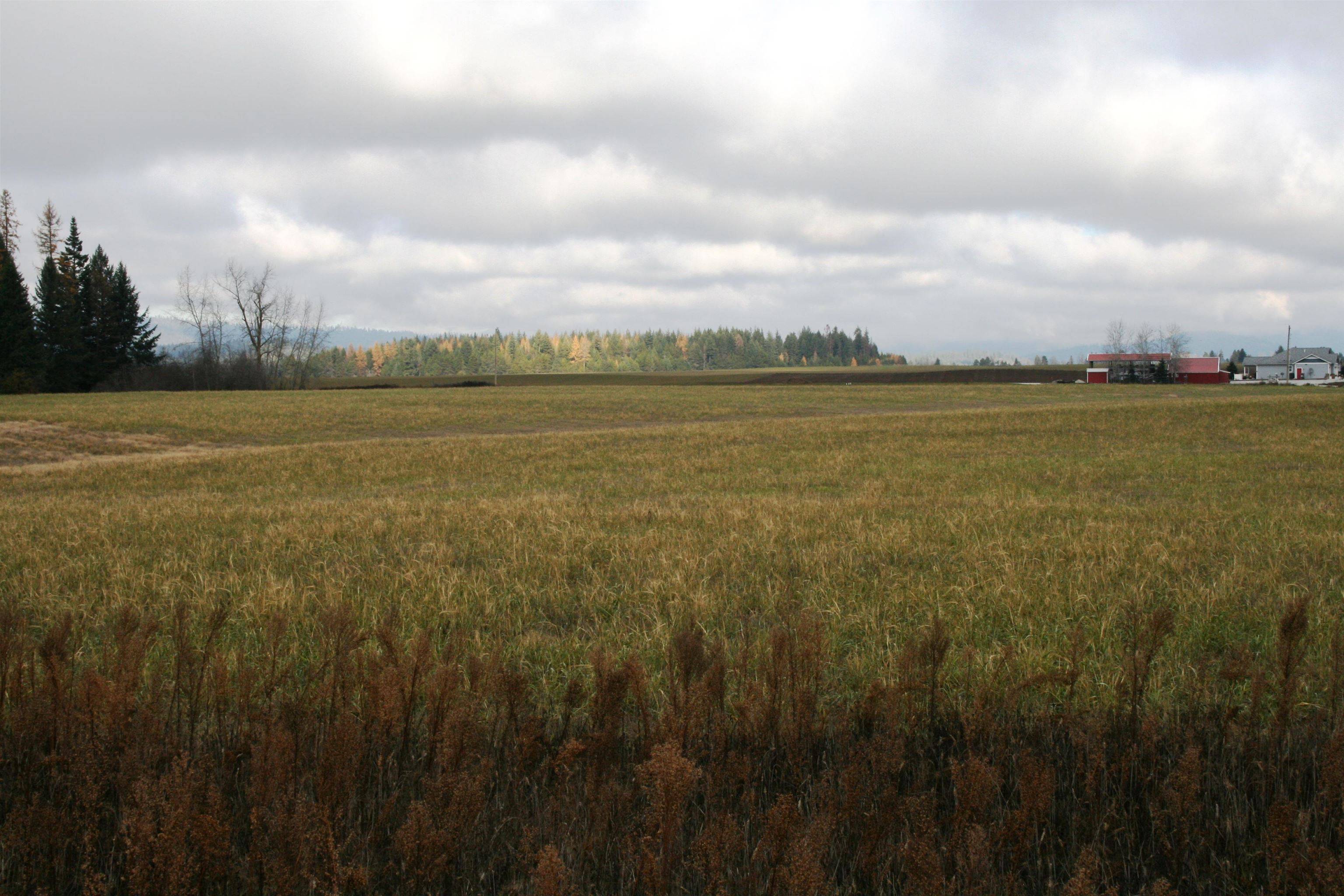 Lot 4 Mule Deer Ln, Deer Park, WA 99006