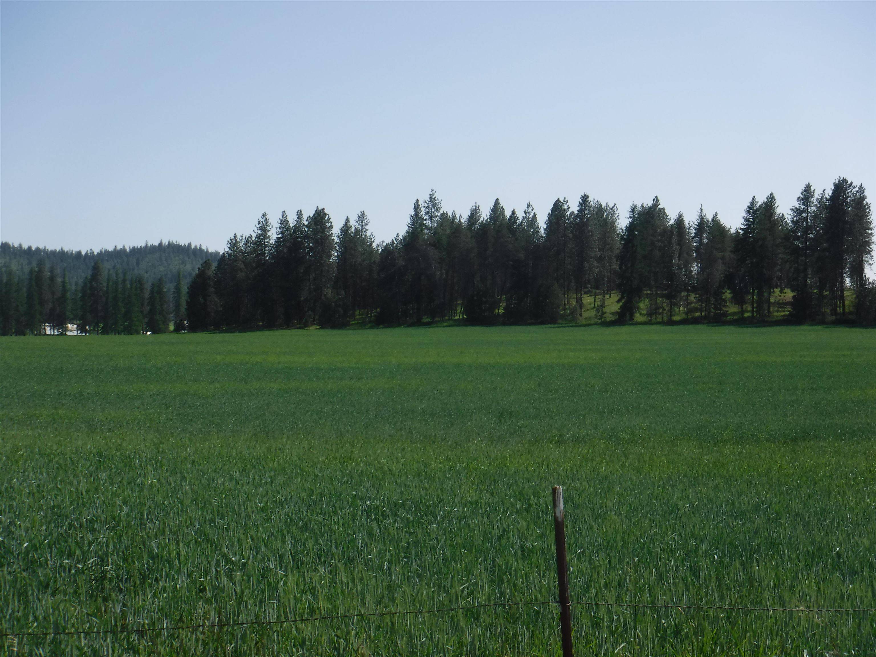 Lot 12 Mule Deer Ln, Deer Park, WA 99006