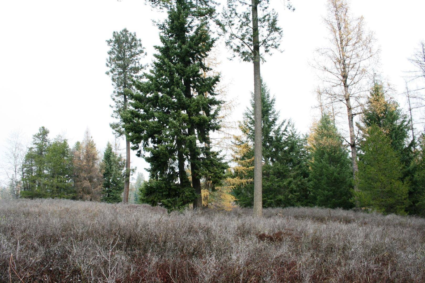 00 Dahl Lot 8 Rd, Deer Park, WA 99006