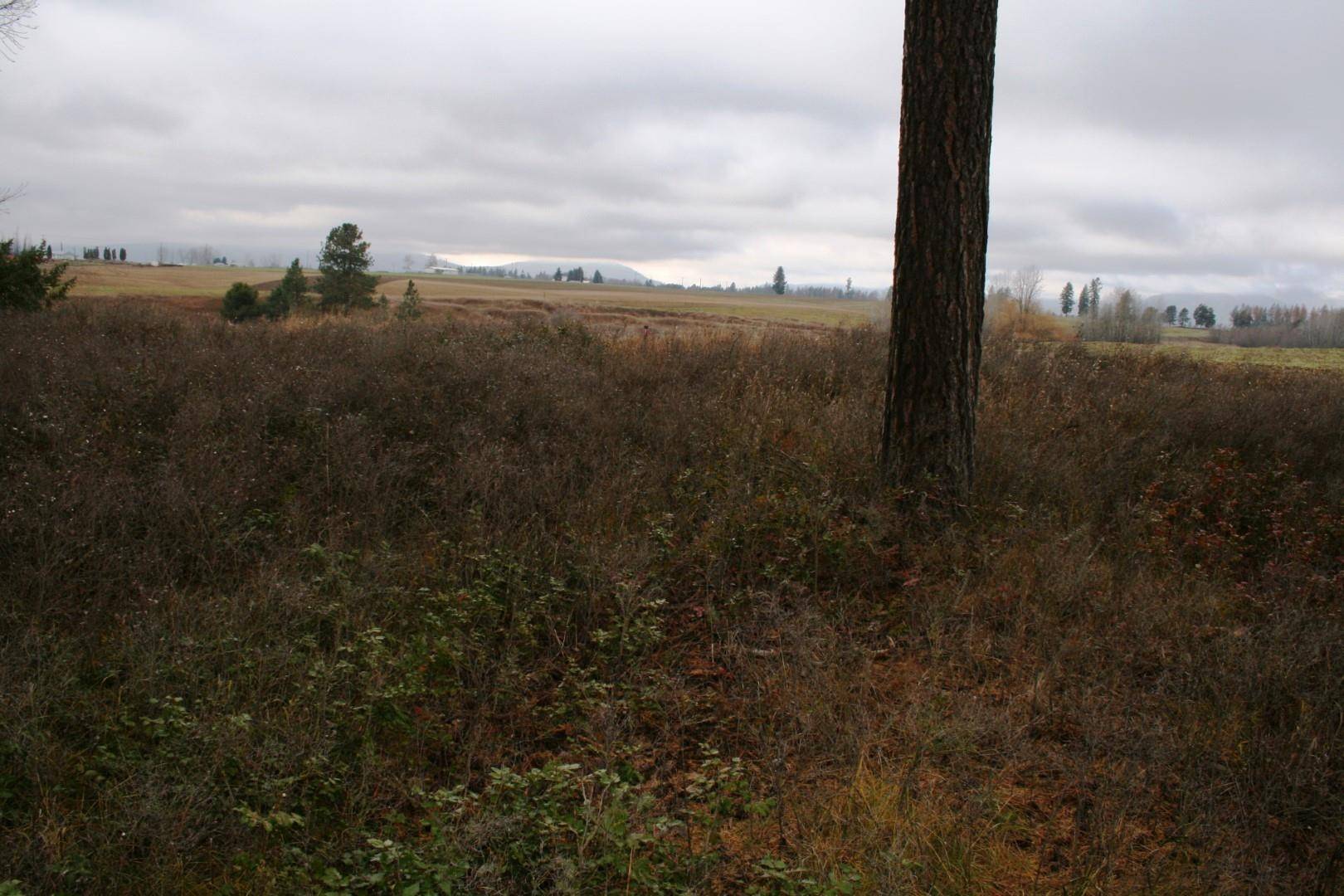 00 Dahl Lot 8 Rd, Deer Park, WA 99006