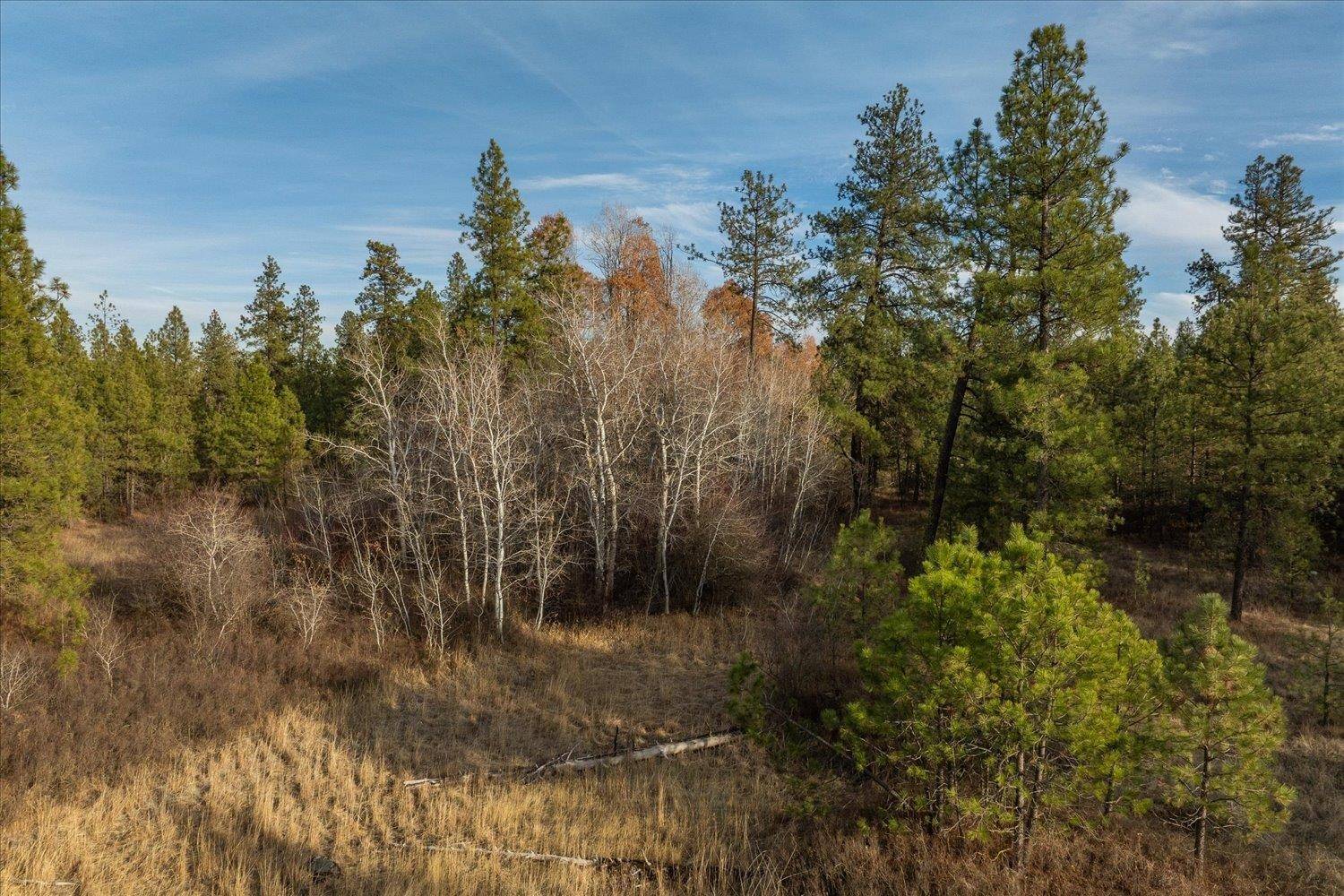 XXXX Vacant Land #Parcel 3, Cheney, WA 99004
