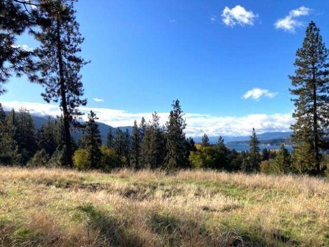 1353 Lake Roosevelt WAY, Kettle Falls, WA 99141