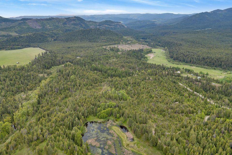 000 Hesseltine Lot 1 Rd, Valley, WA 99181