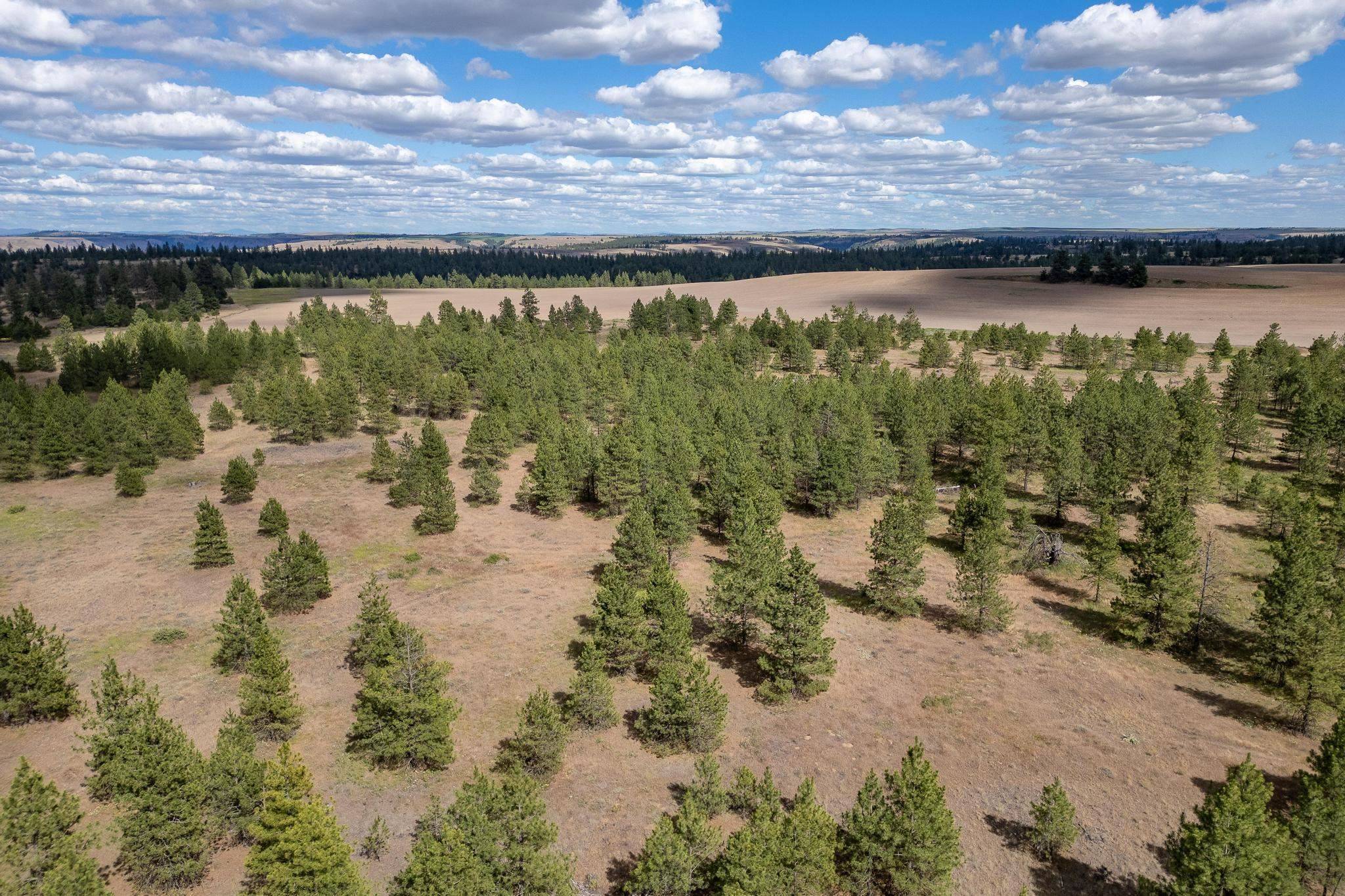 35450 N Prairie Ln #Lot 2, Creston, WA 99117