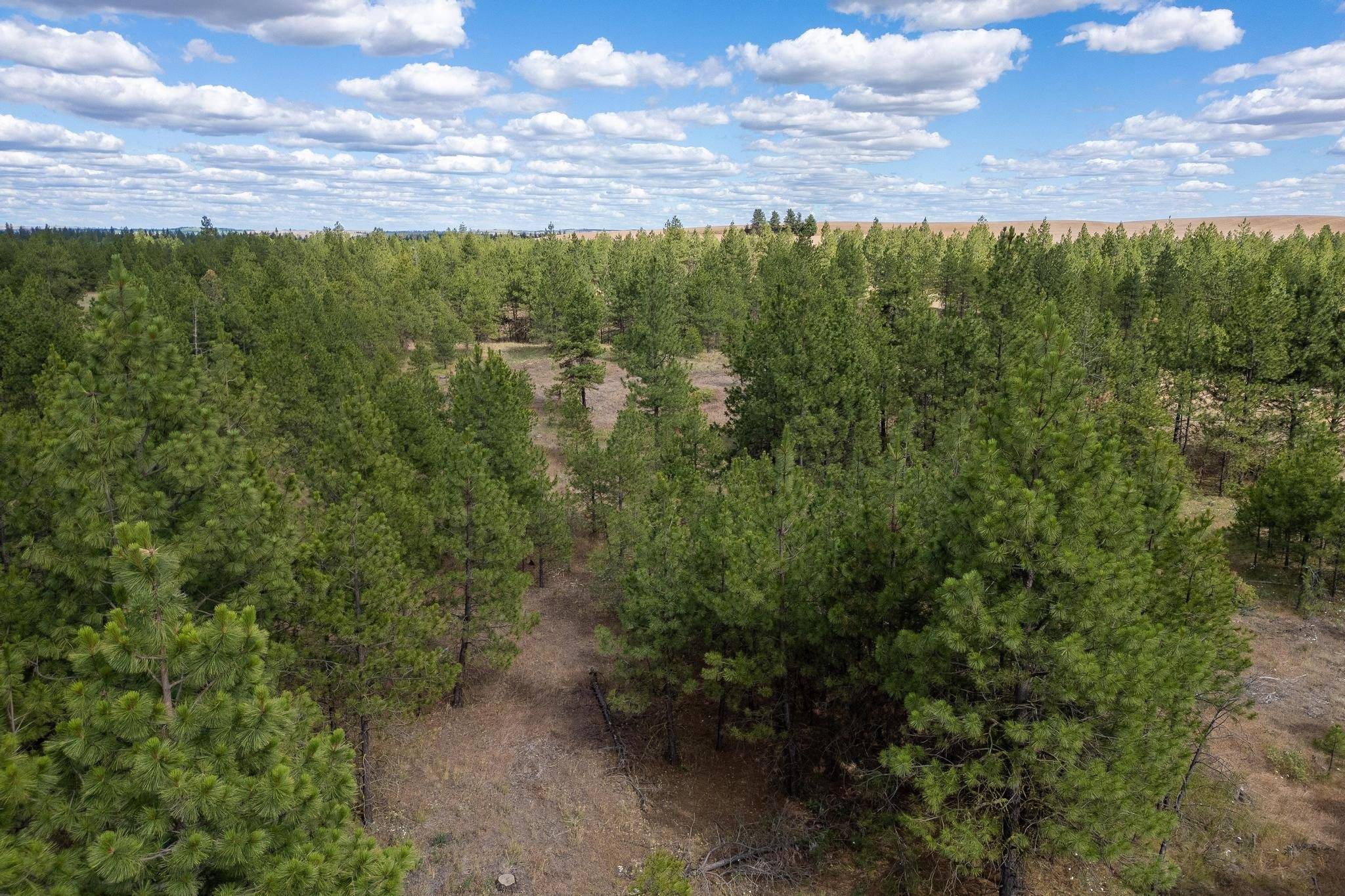 35430 N Prairie Ln #Lot 3, Creston, WA 99117
