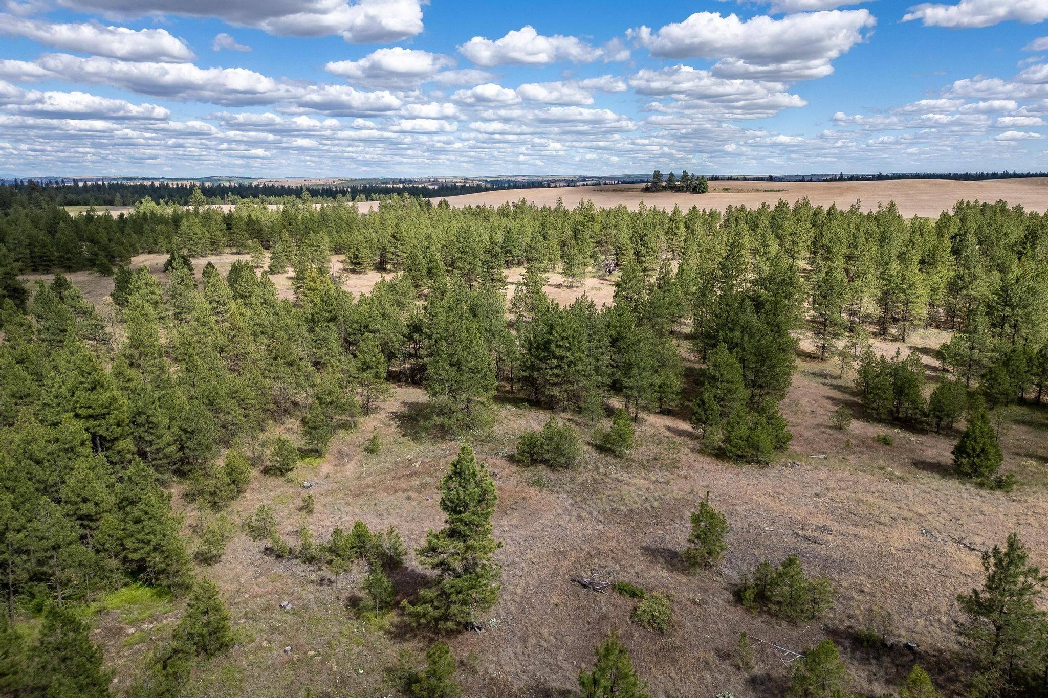 35430 N Prairie Ln #Lot 3, Creston, WA 99117