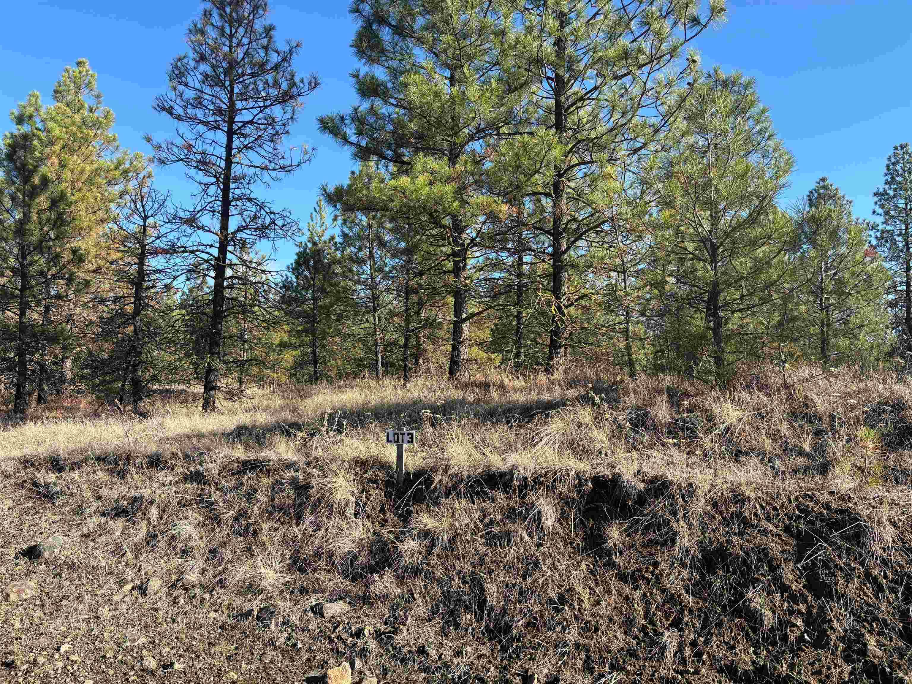 35430 N Prairie Ln #Lot 3, Creston, WA 99117