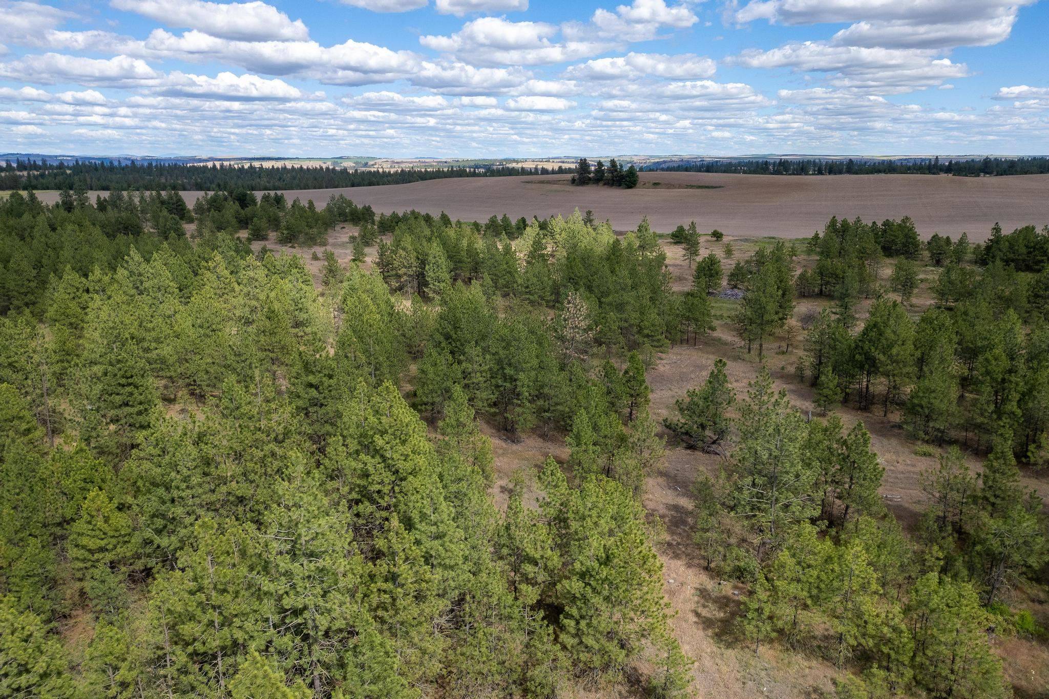 35430 N Prairie Ln #Lot 3, Creston, WA 99117