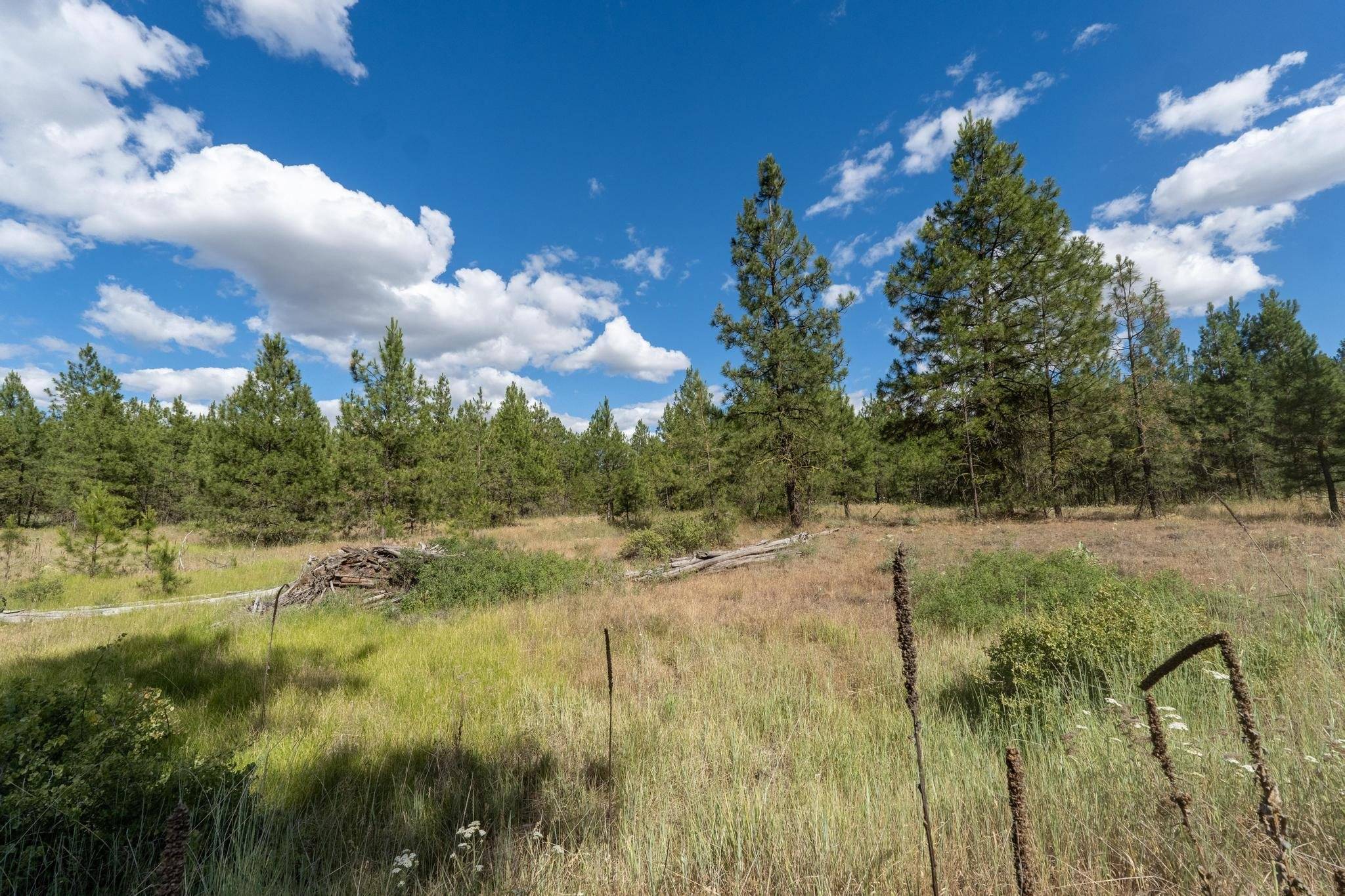 35410 N Prairie Ln #Lot 4, Creston, WA 99117
