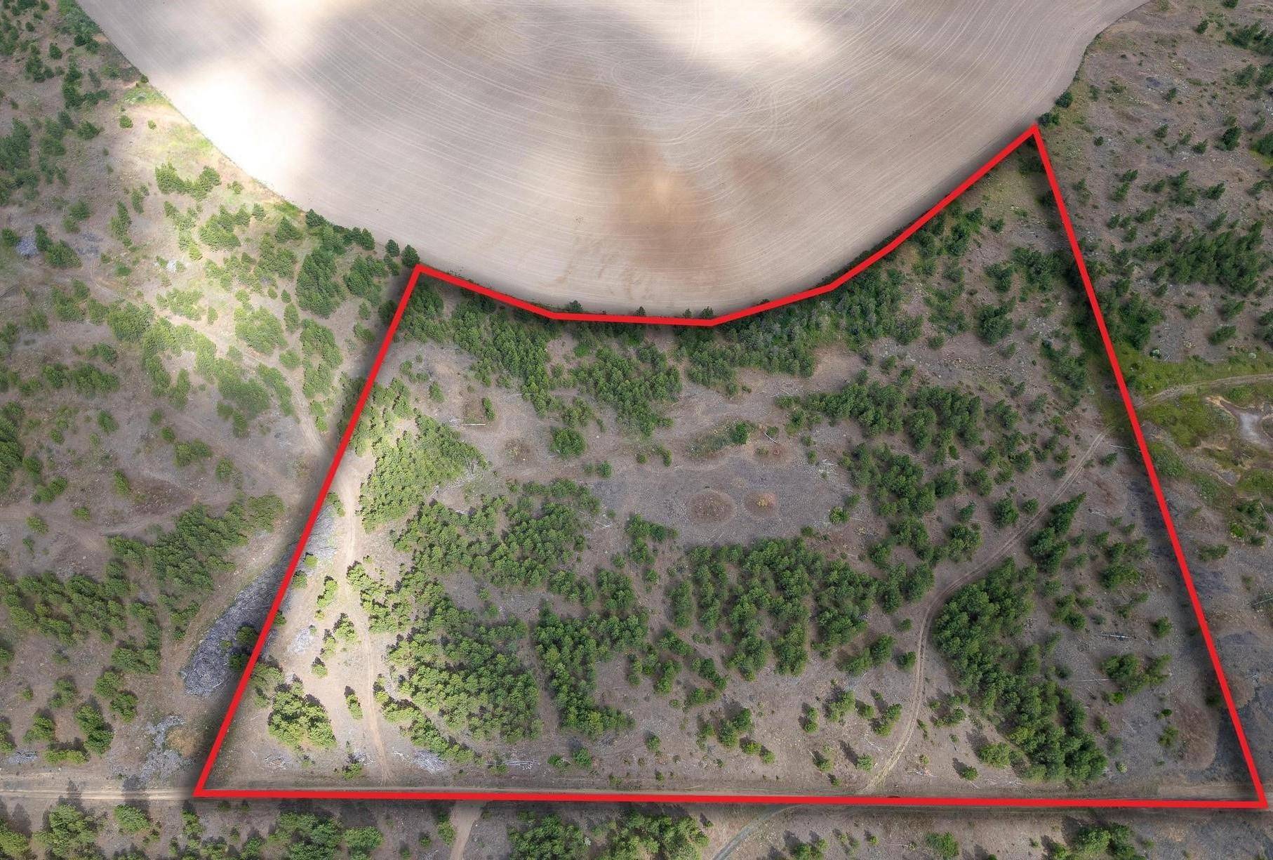 35410 N Prairie Ln #Lot 4, Creston, WA 99117