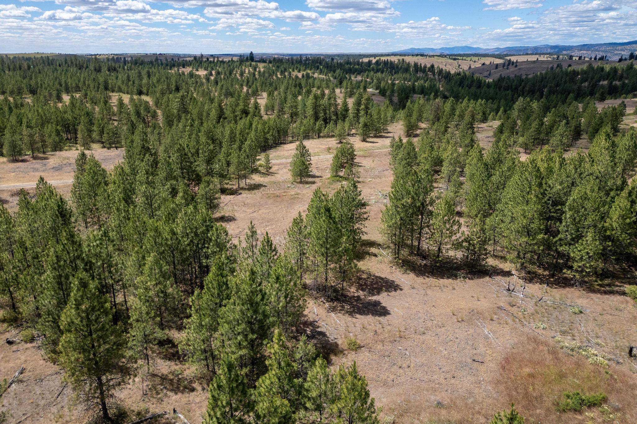 35390 N Prairie Ln #Lot 5, Creston, WA 99117