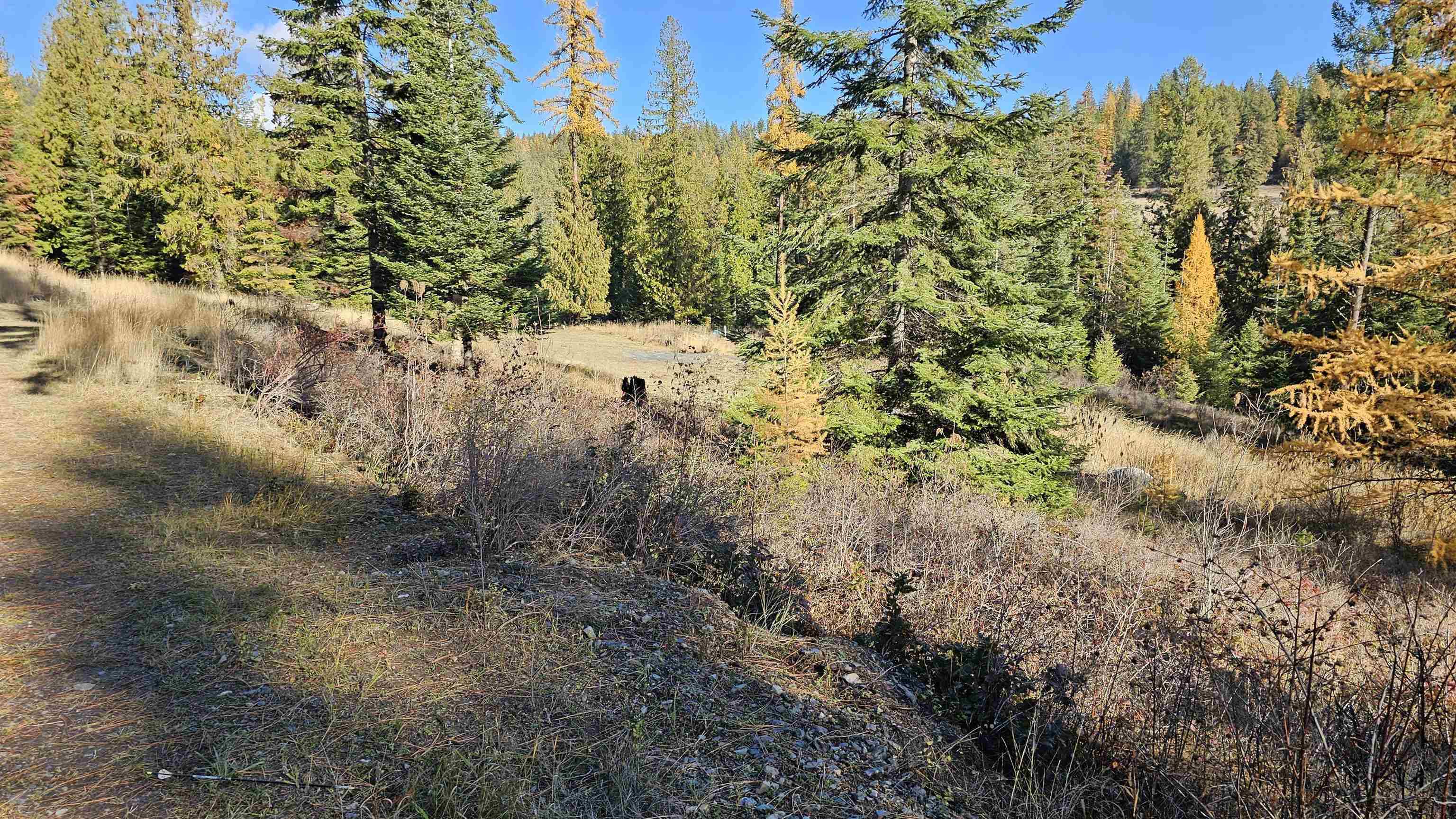 717 B Finley Gulch Rd, Colville, WA 99114