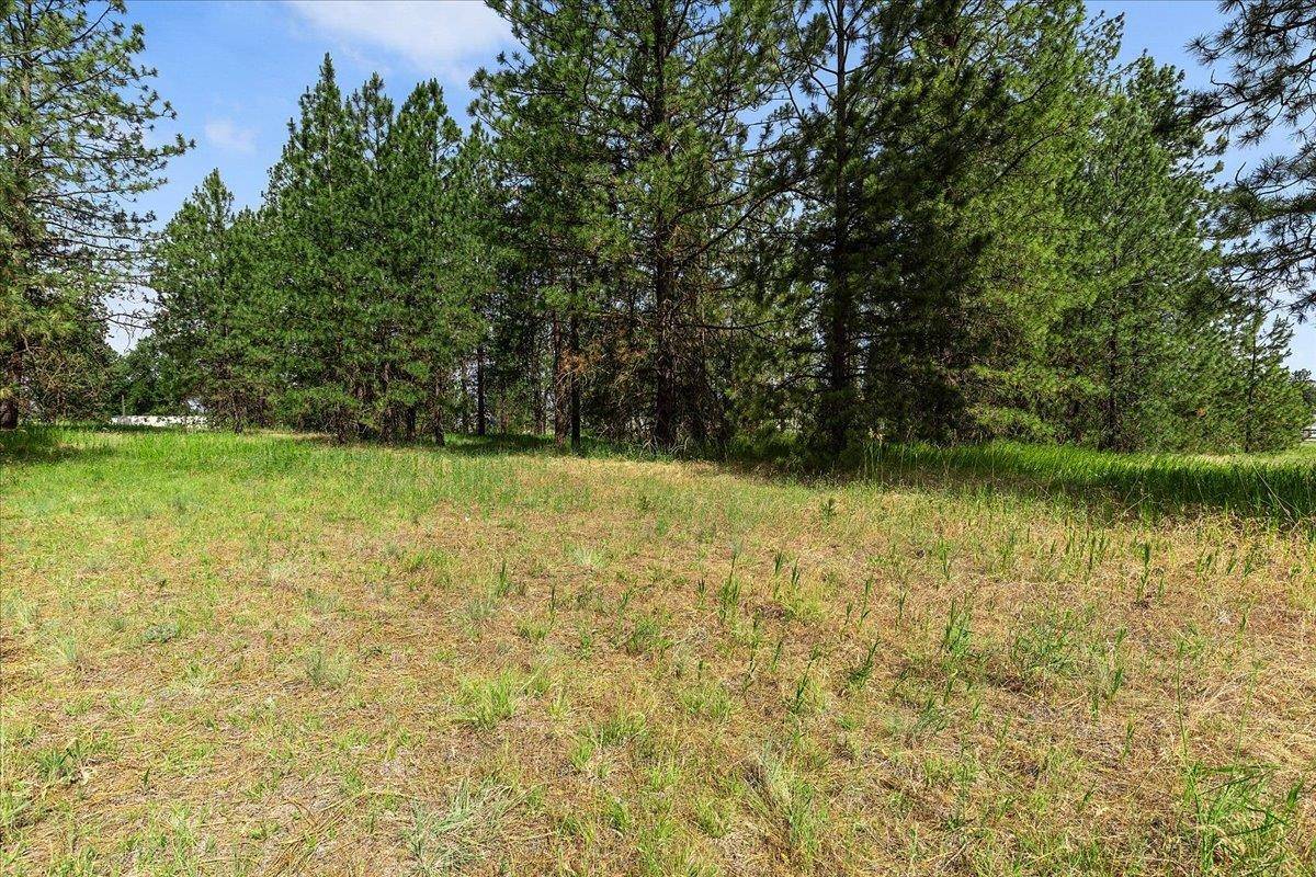 NNA Pinehurst Park Ave, Spokane, WA 99217