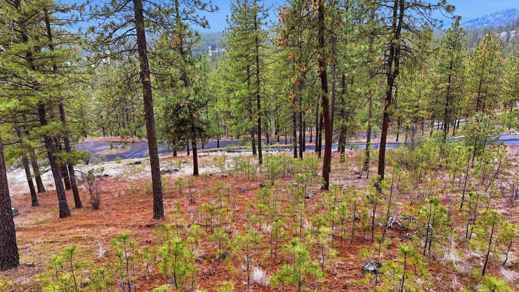 6499 Syringa WAY, Nine Mile Falls, WA 99026