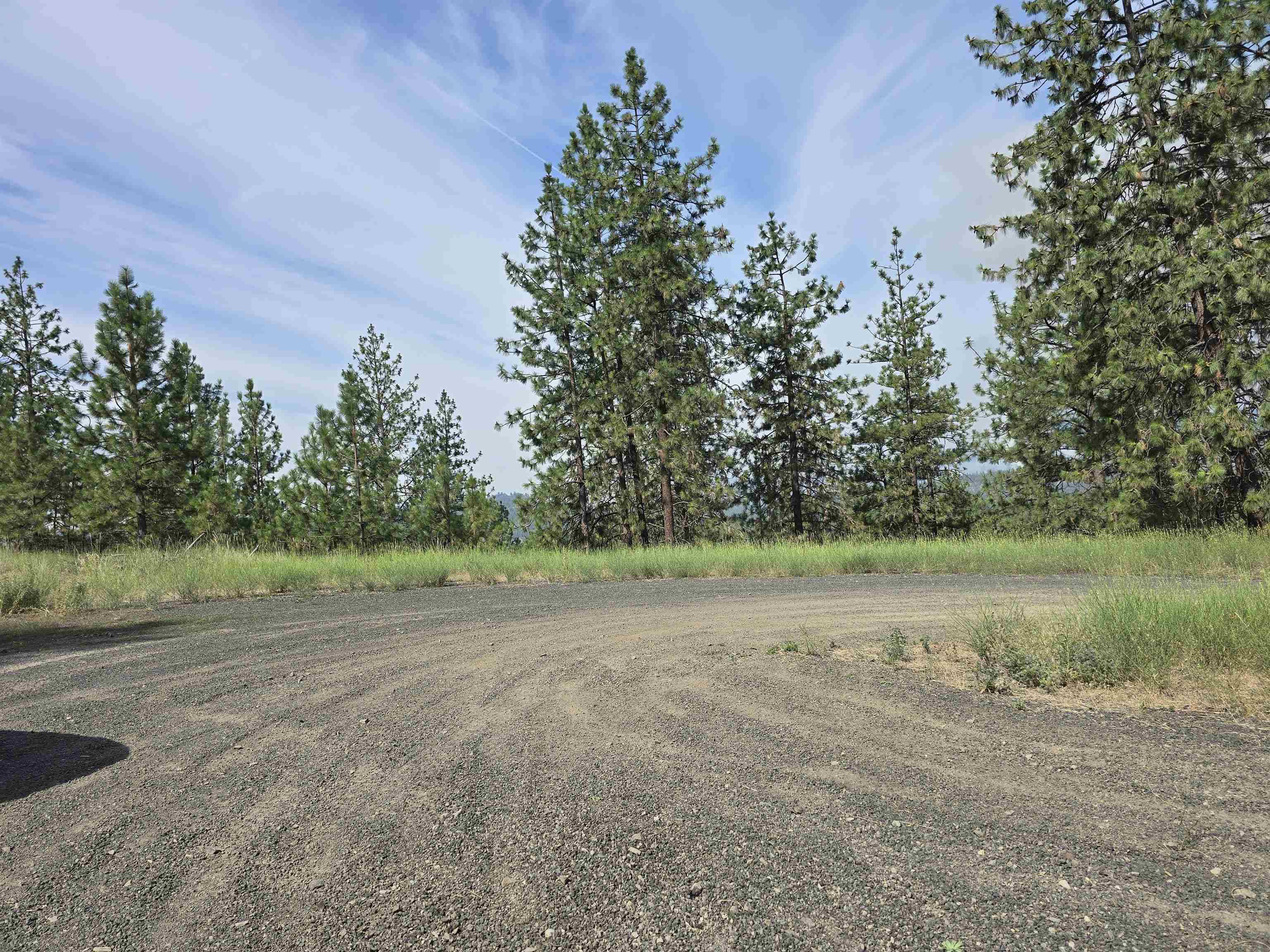 XX Syringa WAY, Nine Mile Falls, WA 99026