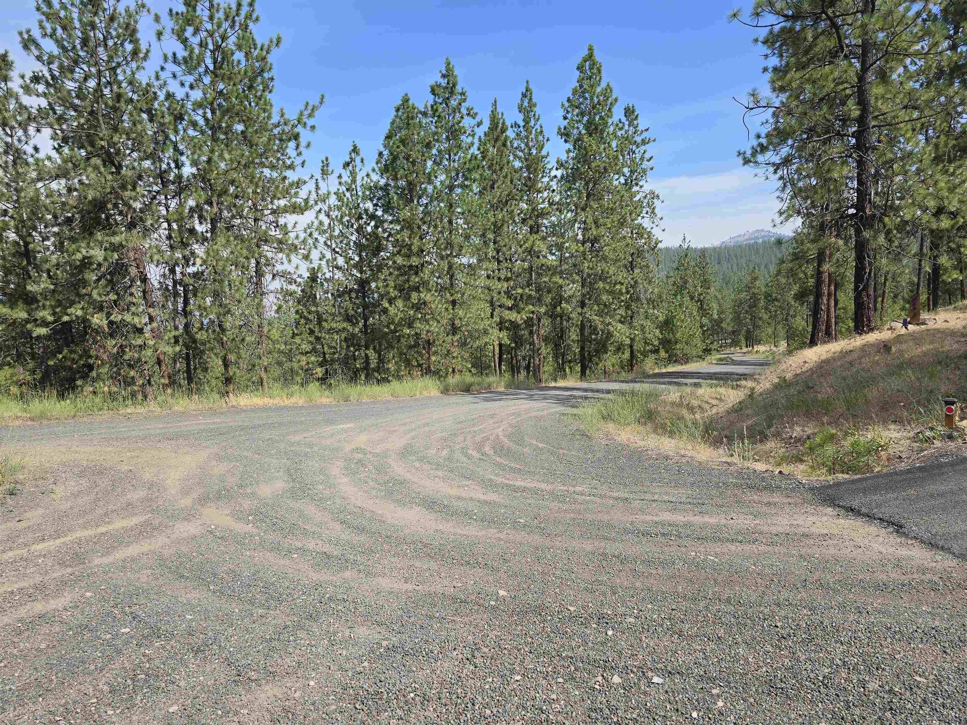 XX Syringa WAY, Nine Mile Falls, WA 99026