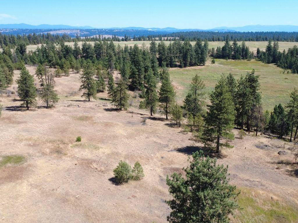 00X Hayford Rd, Spokane, WA 99224