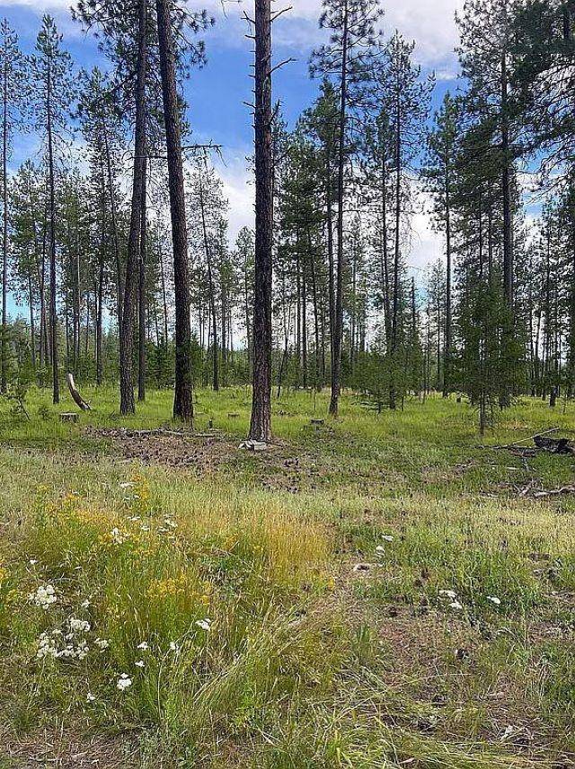 151XX E Oregon Rd #Parcel 49111.9067, Elk, WA 99009