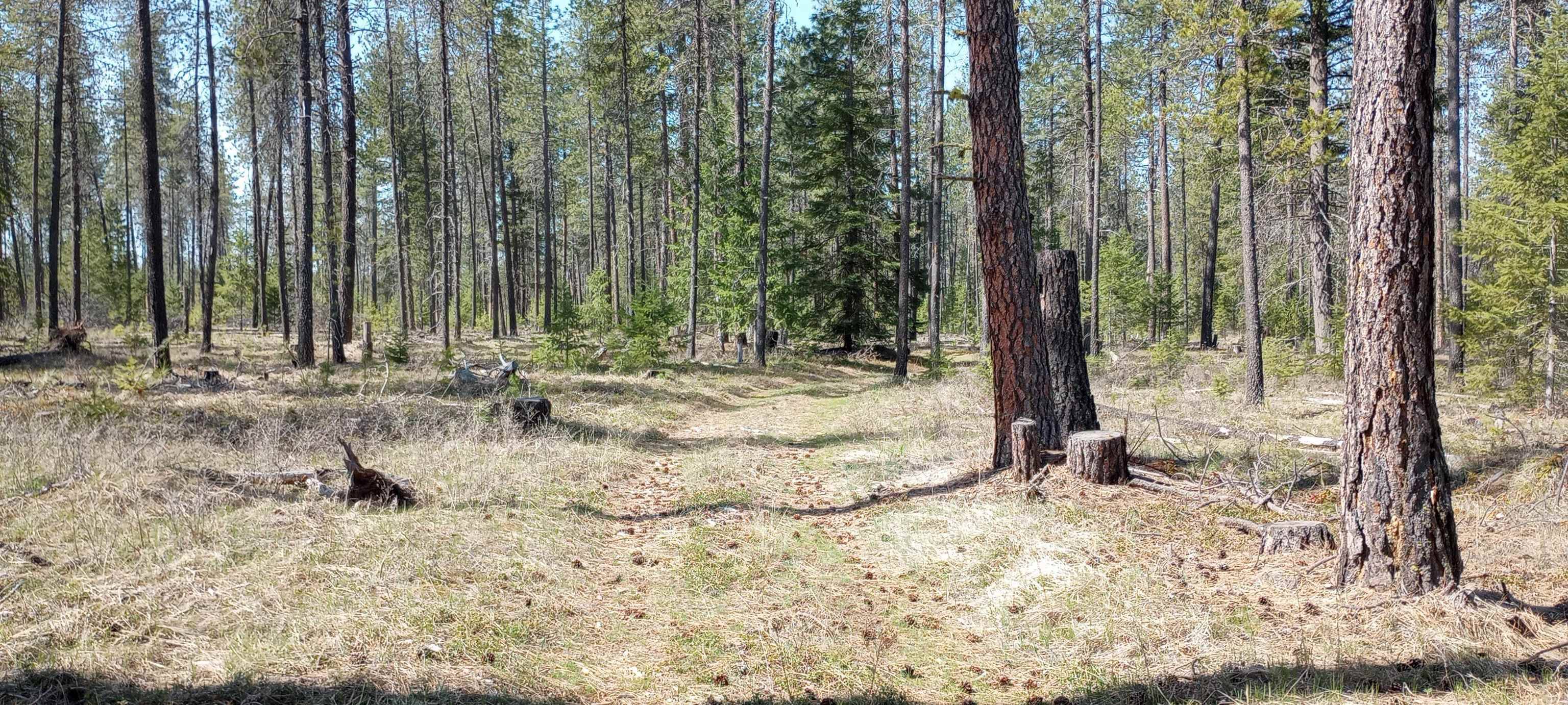 151XX E Oregon Rd #Parcel 49111.9067, Elk, WA 99009