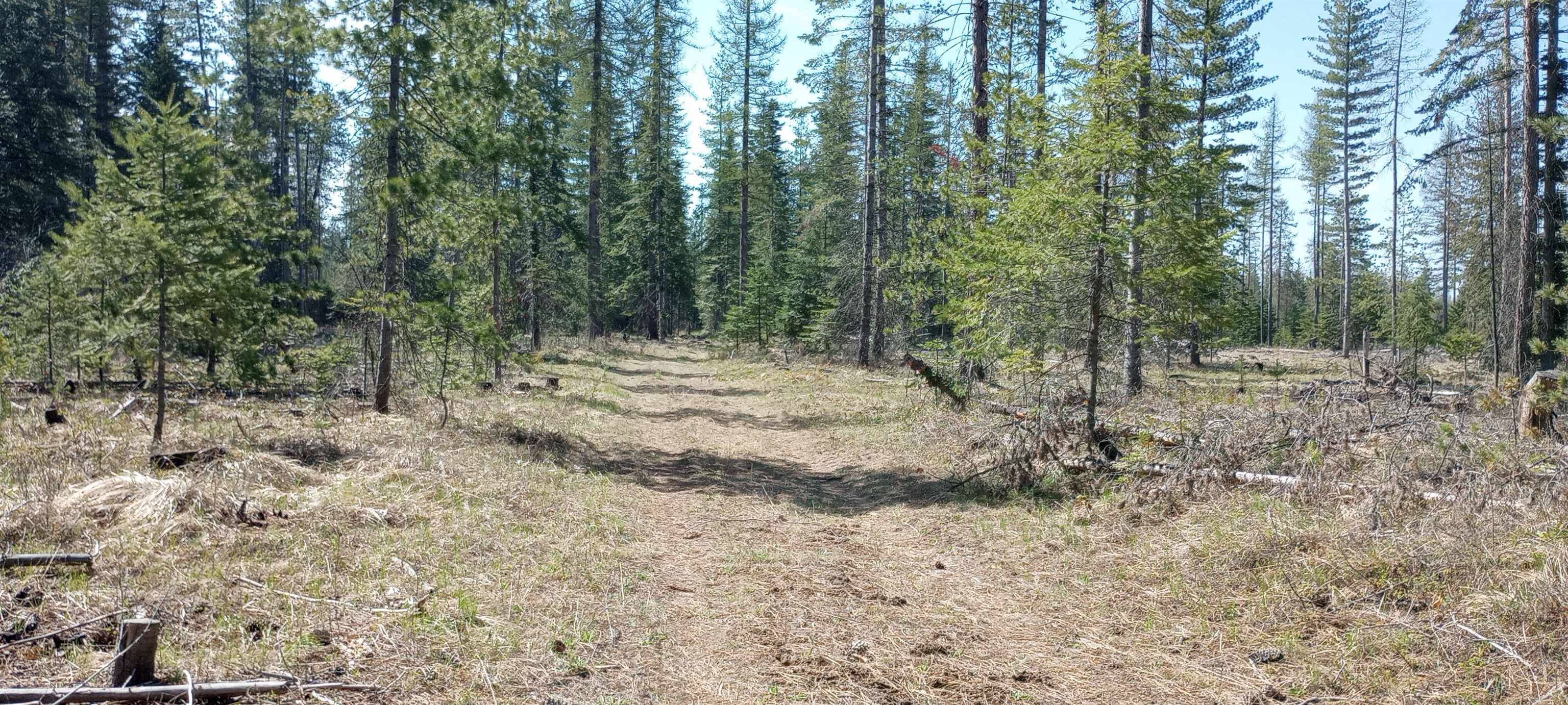 151XX E Oregon Rd #Parcel 49111.9068, Elk, WA 99009