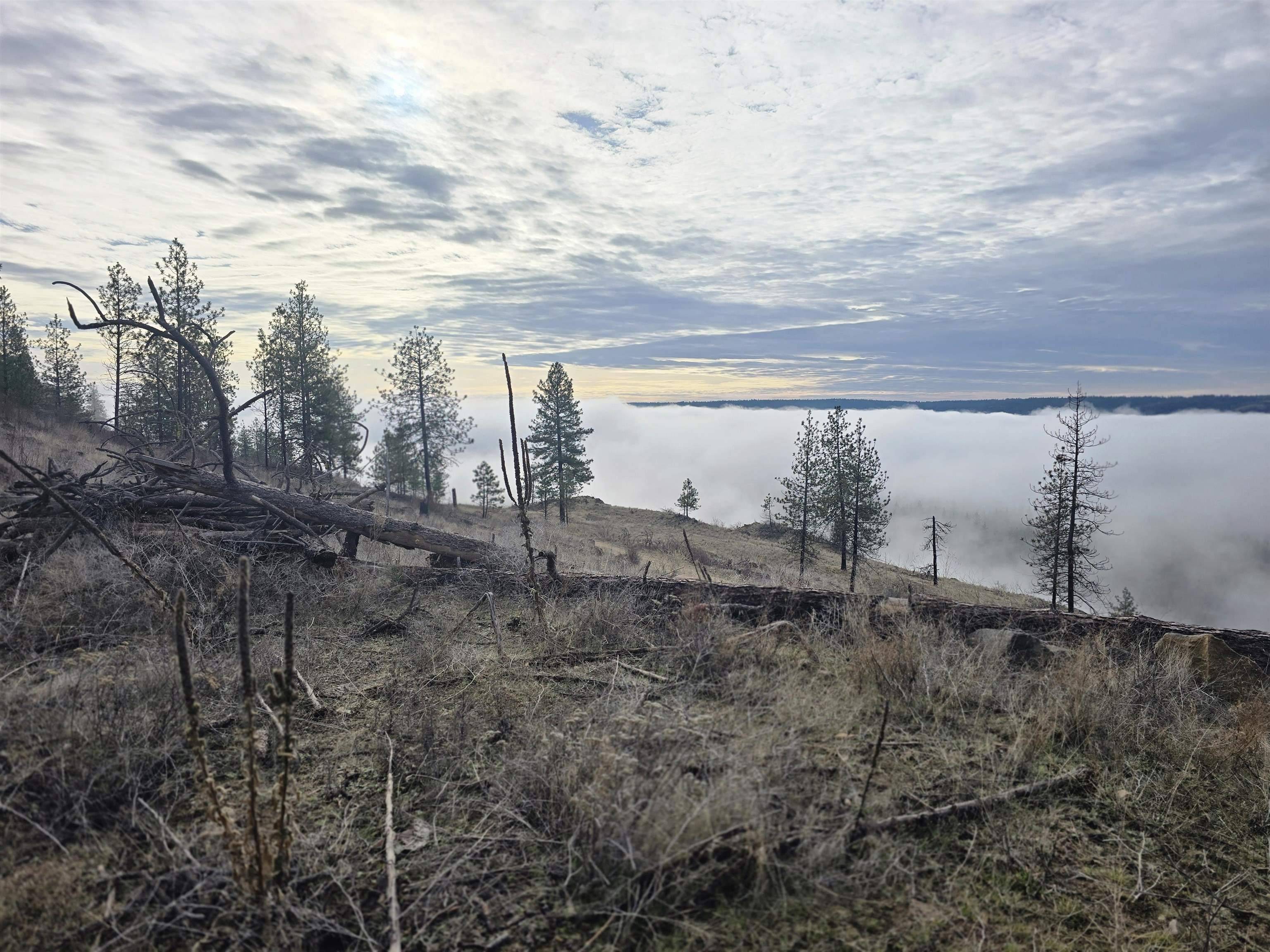 XX Pine Ridge WAY, Nine Mile Falls, WA 99026