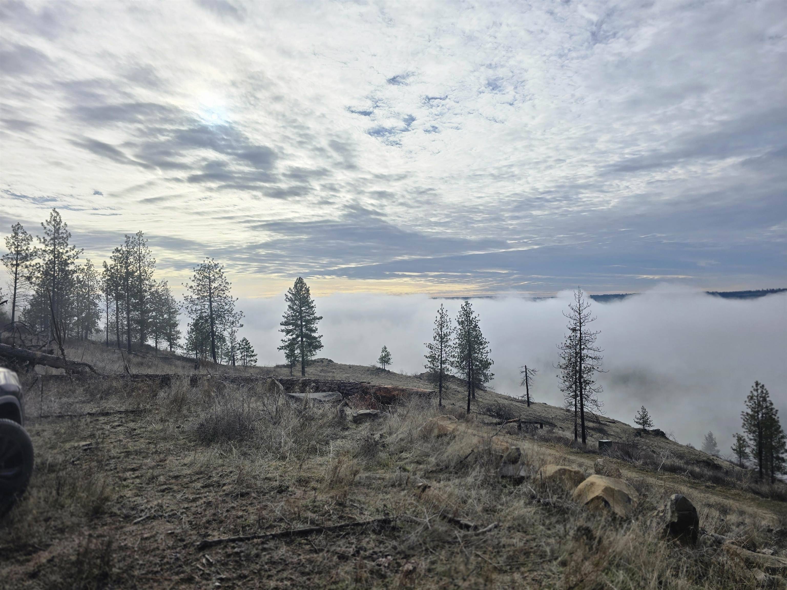 XX Pine Ridge WAY, Nine Mile Falls, WA 99026