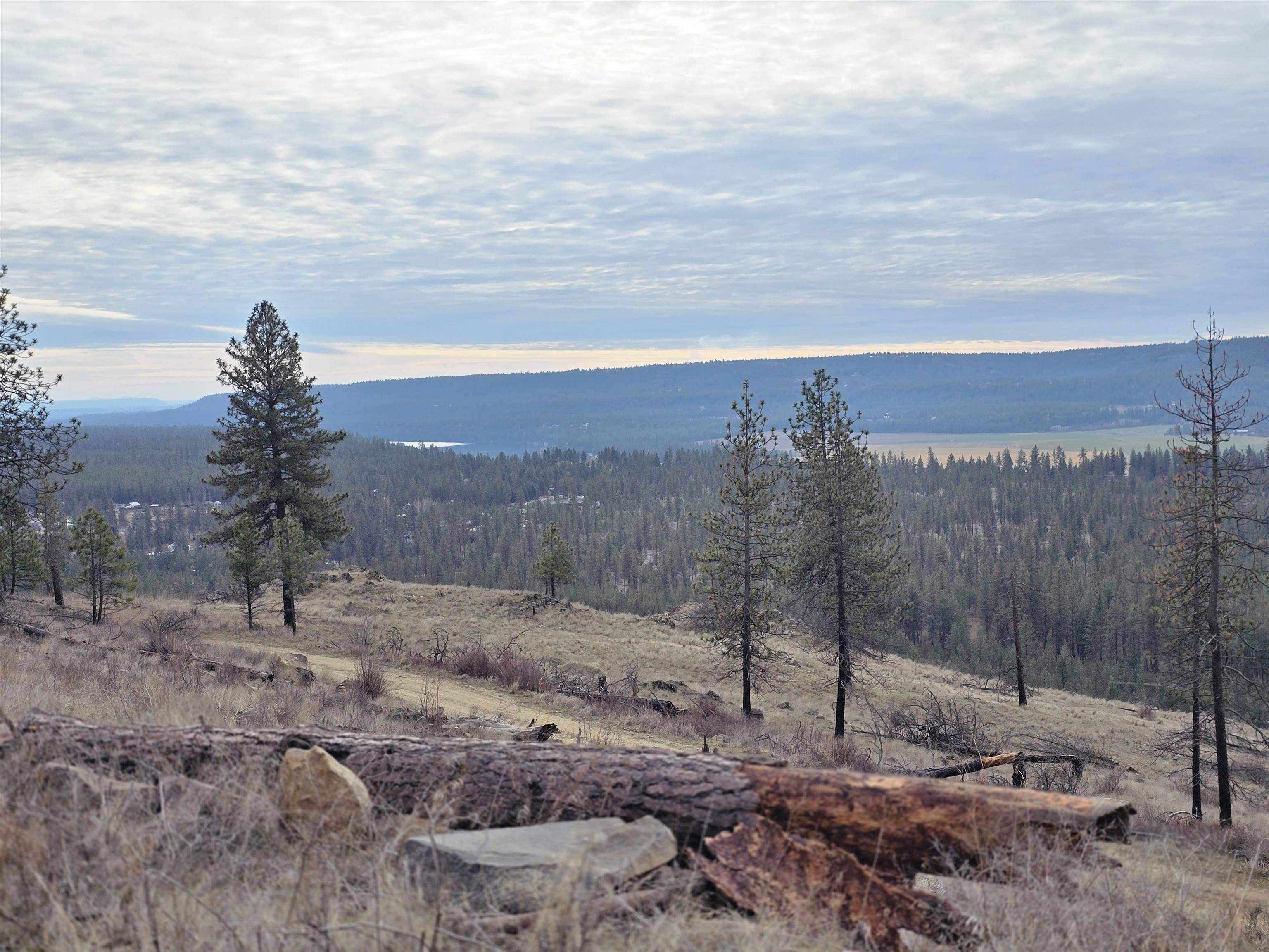 XX Pine Ridge WAY, Nine Mile Falls, WA 99026